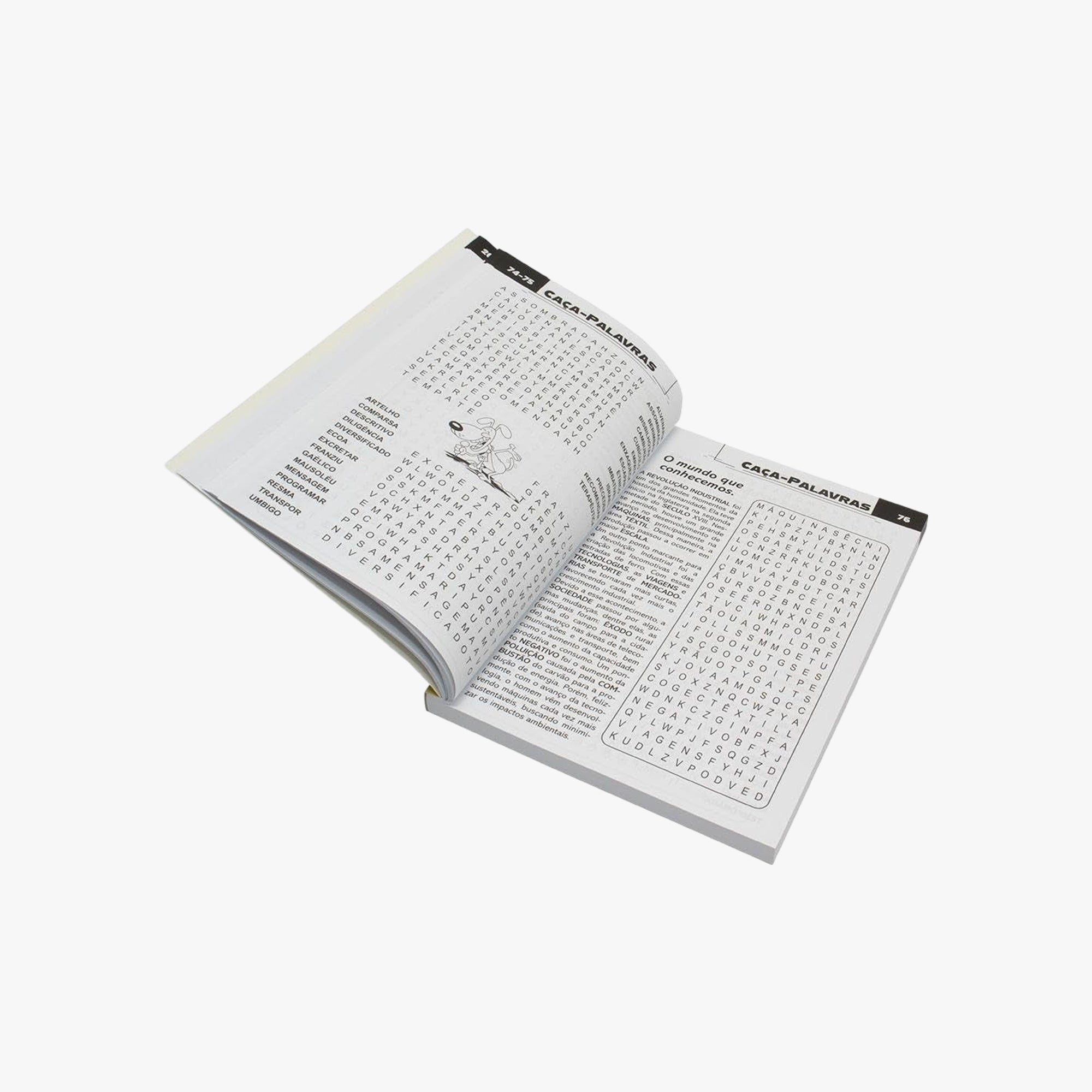 Livro Scottini 365 Caça-palavras N.8