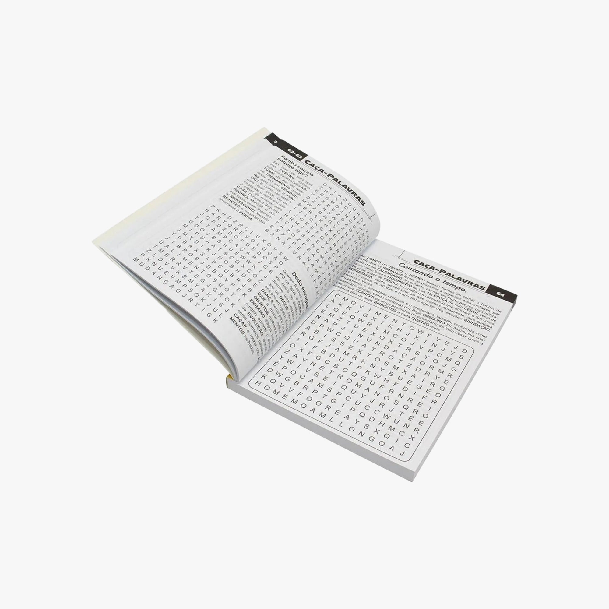 Livro Scottini 365 Caça-palavras N.10