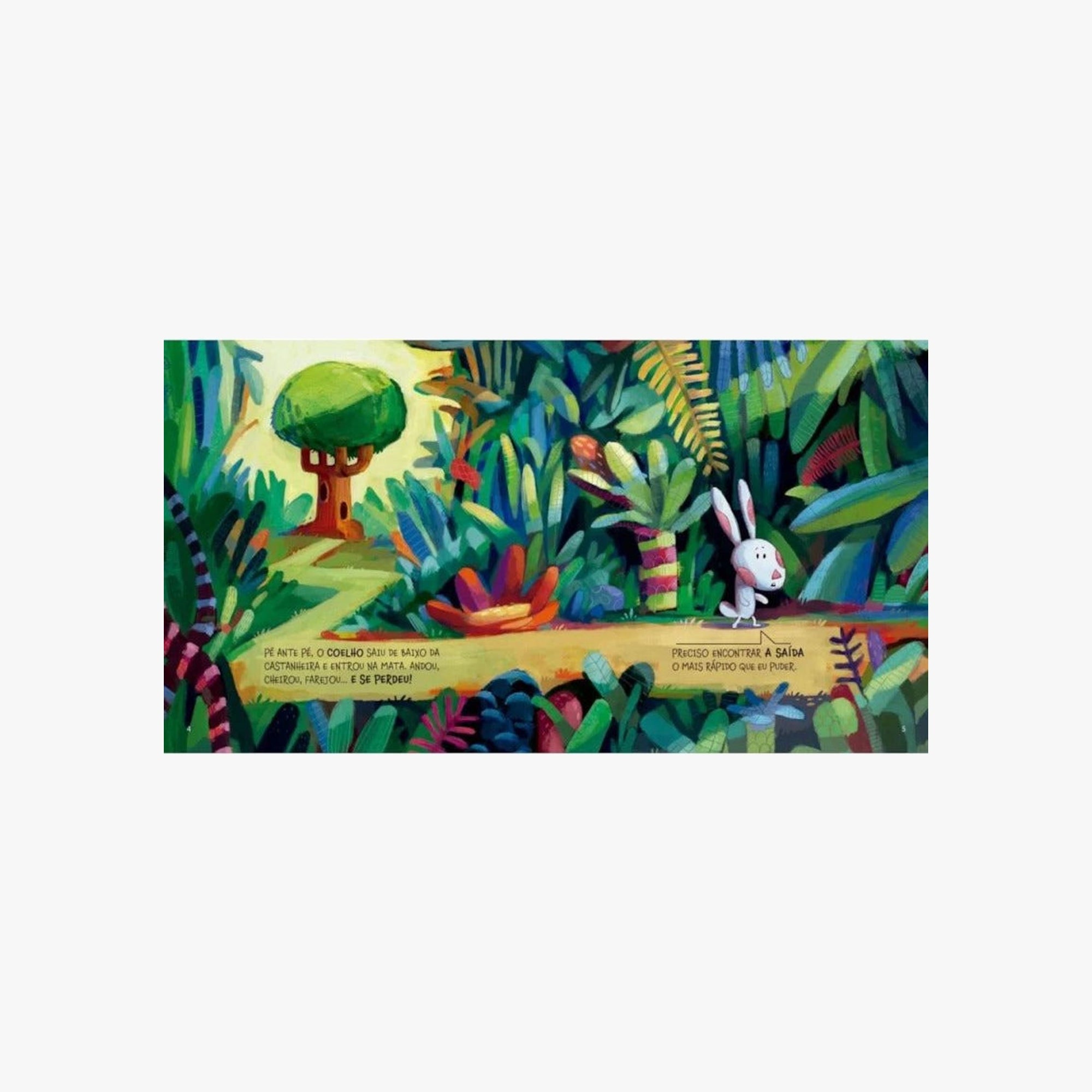Livro Infantil O Coelho Fujão