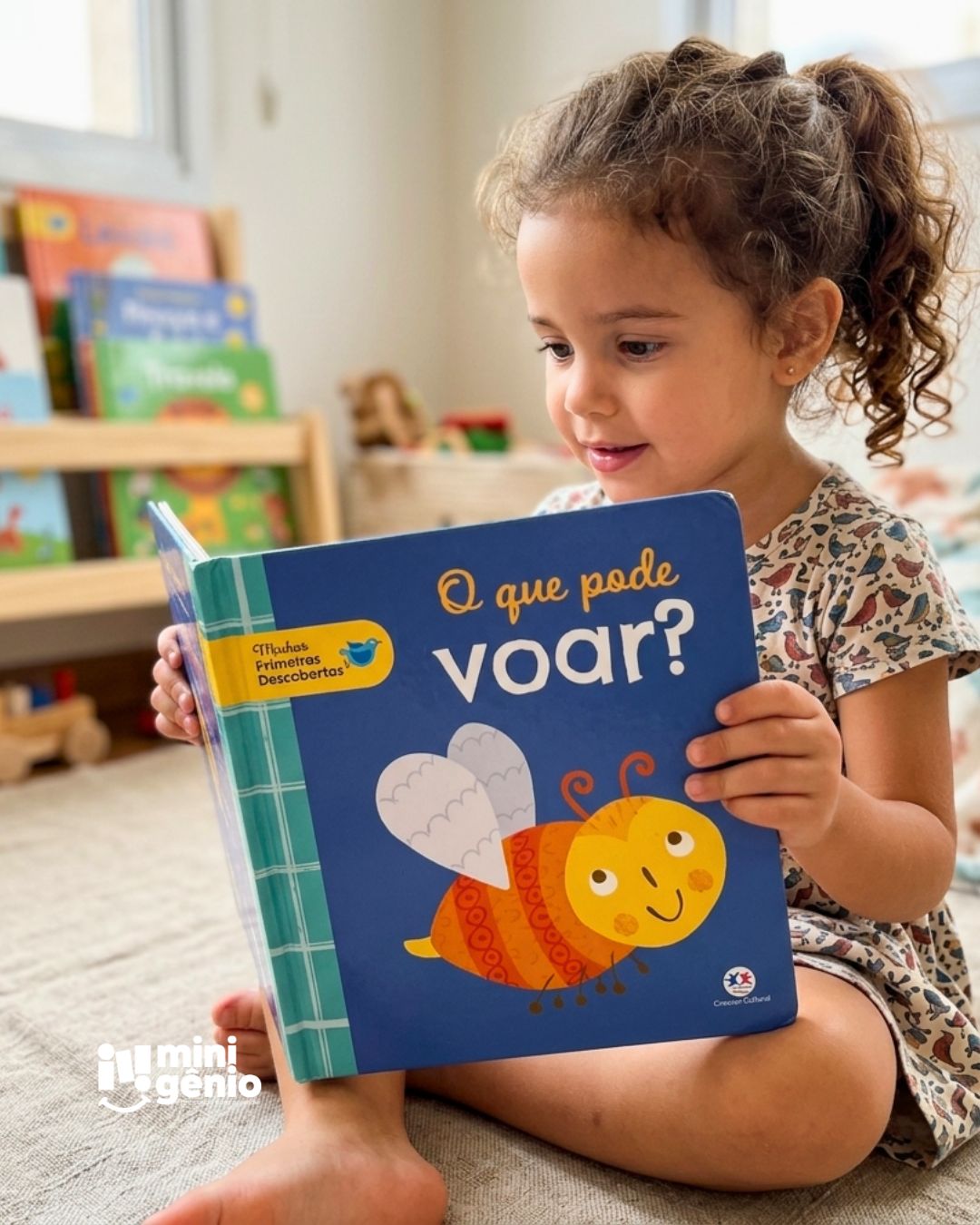 Livro Infantil O que pode voar?