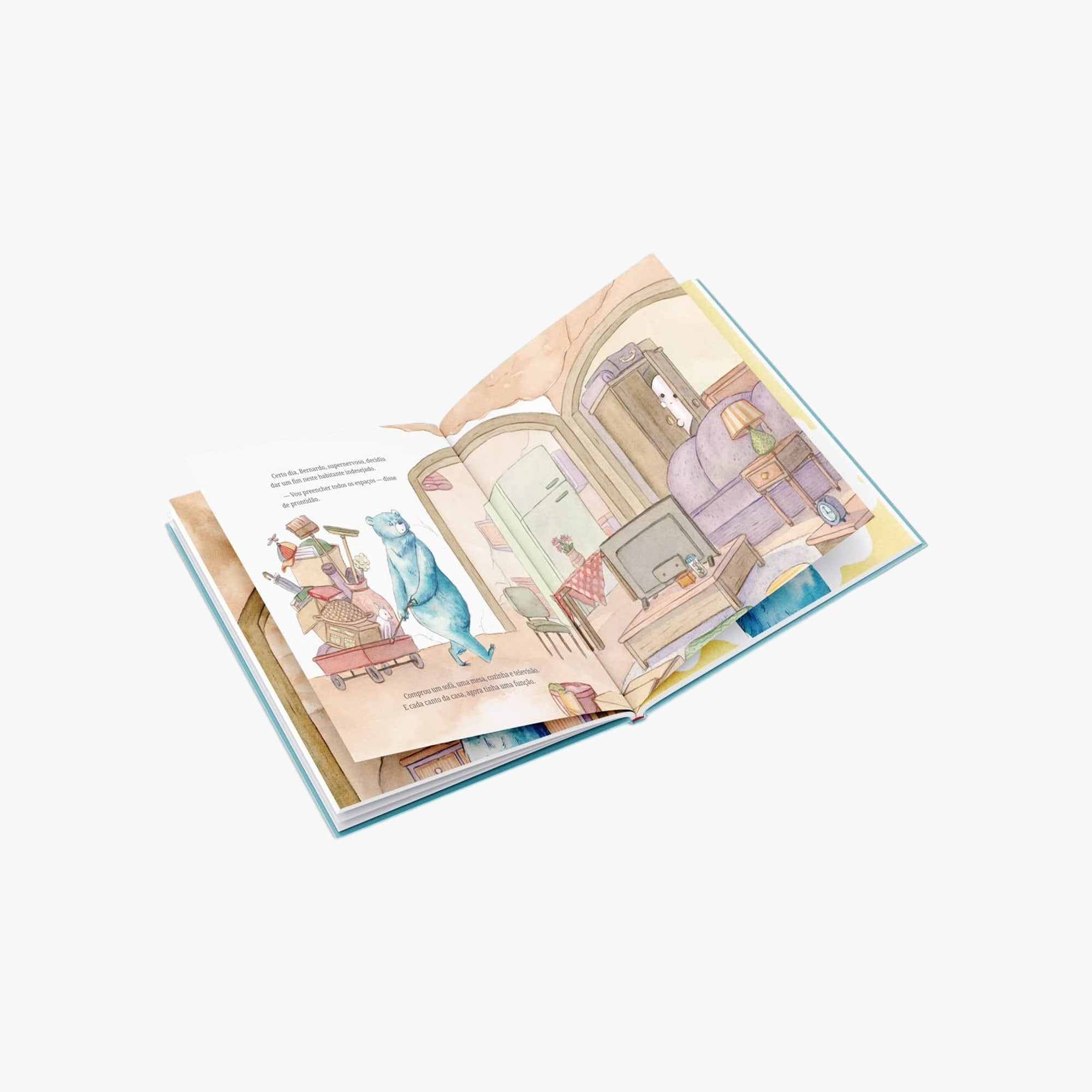 Livro Infantil O urso e o Eco