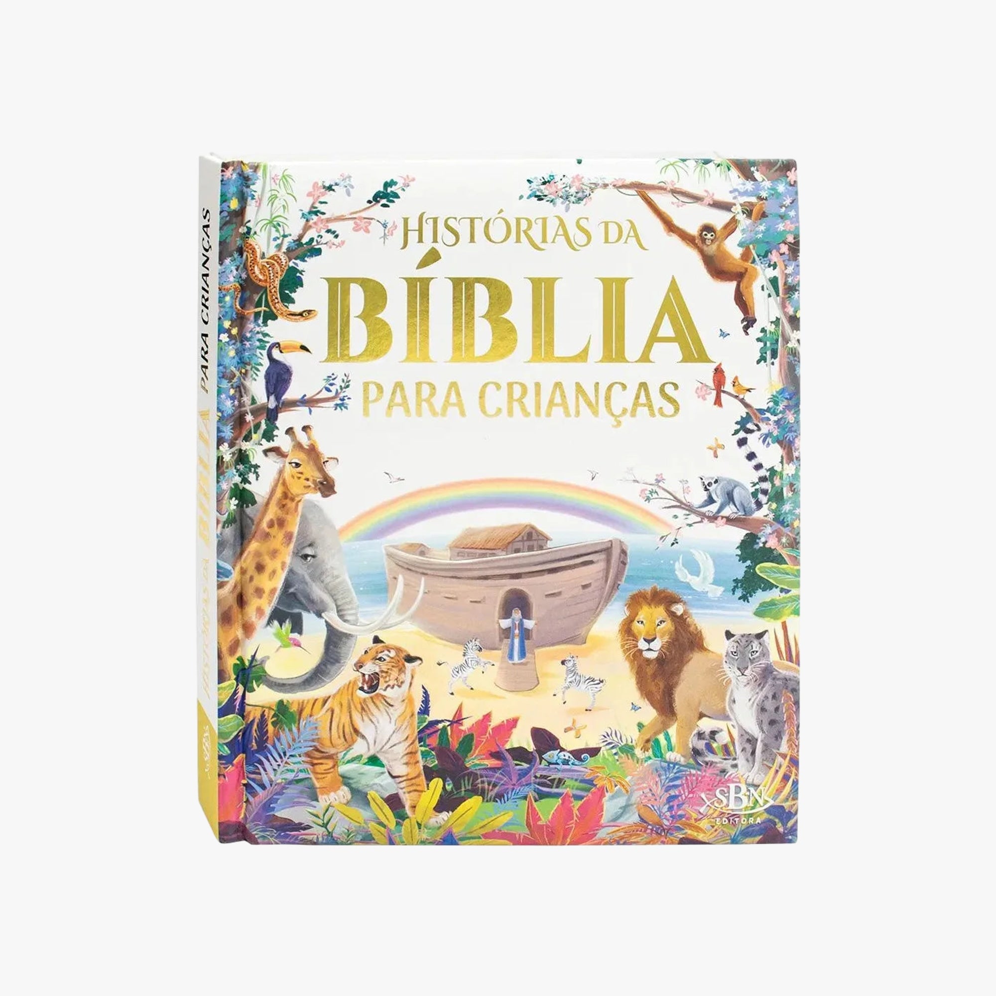 Livro histórias da Bíblia para crianças