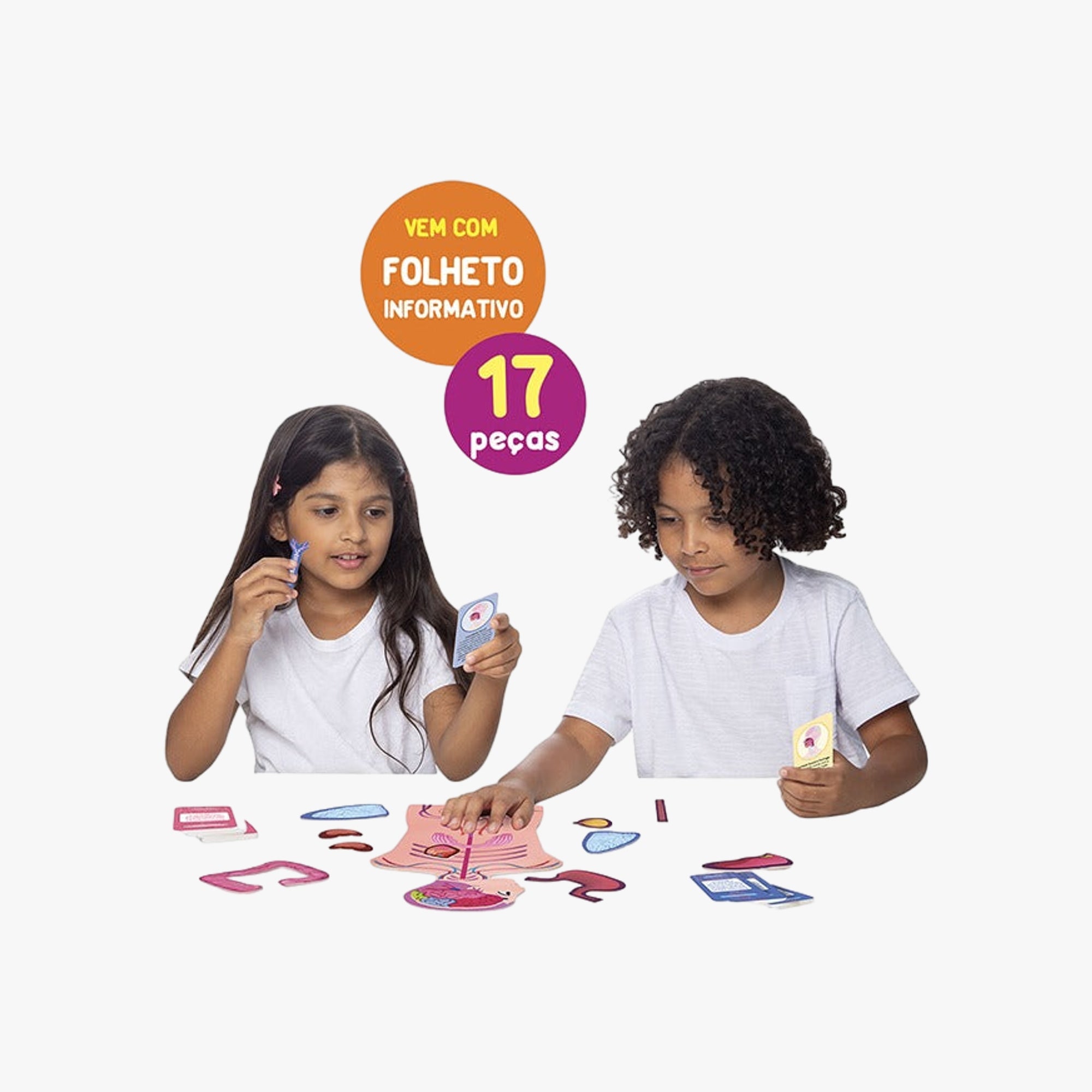 Jogo Educativo Entendendo o Corpo Humano