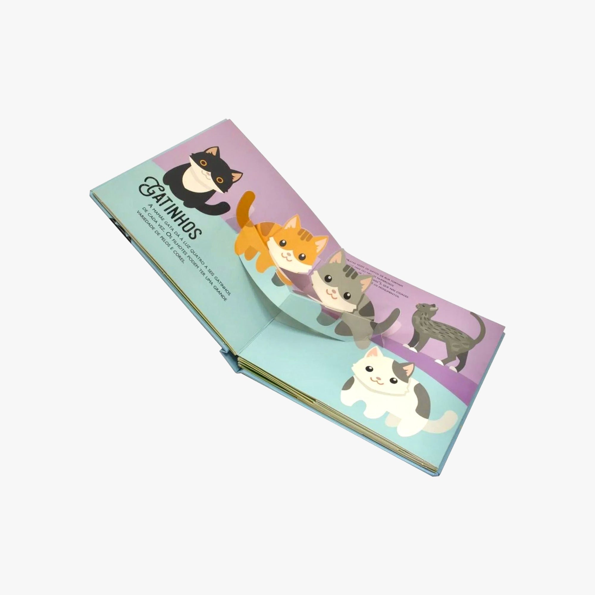 Livro Infantil Filhotes de Animais Pop Ups