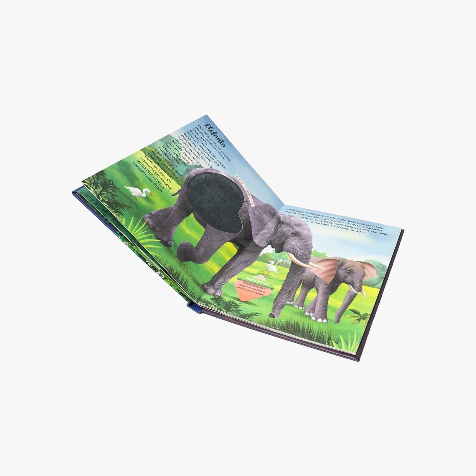 Livro POP-UPS: Descubra os Animais