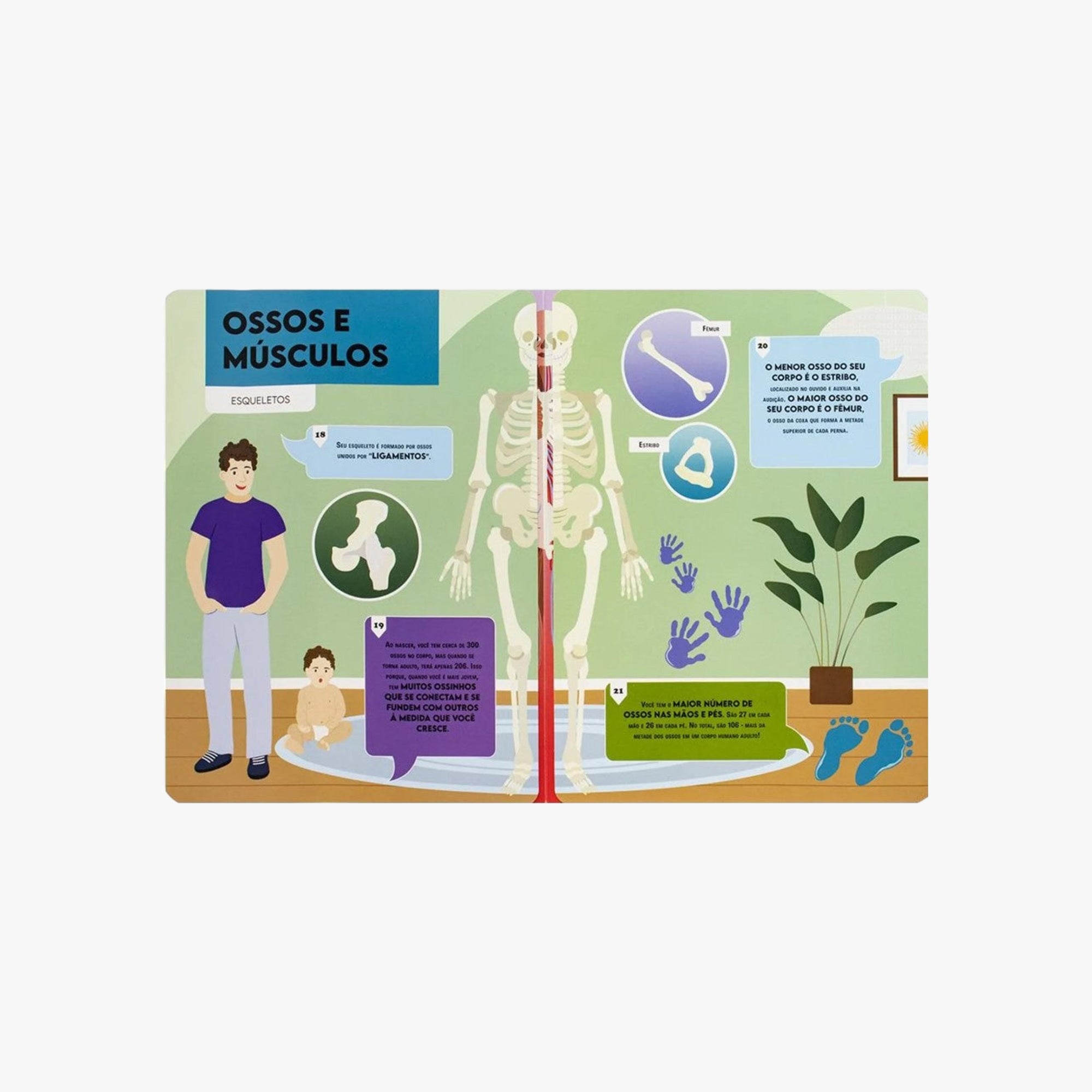 Livro Vamos Falar Sobre Corpo Humano