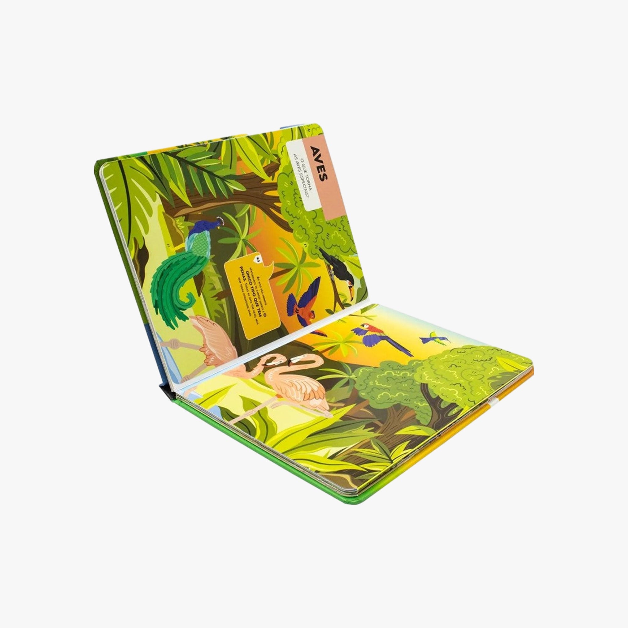 Livro Vamos Falar Sobre Reino Animal
