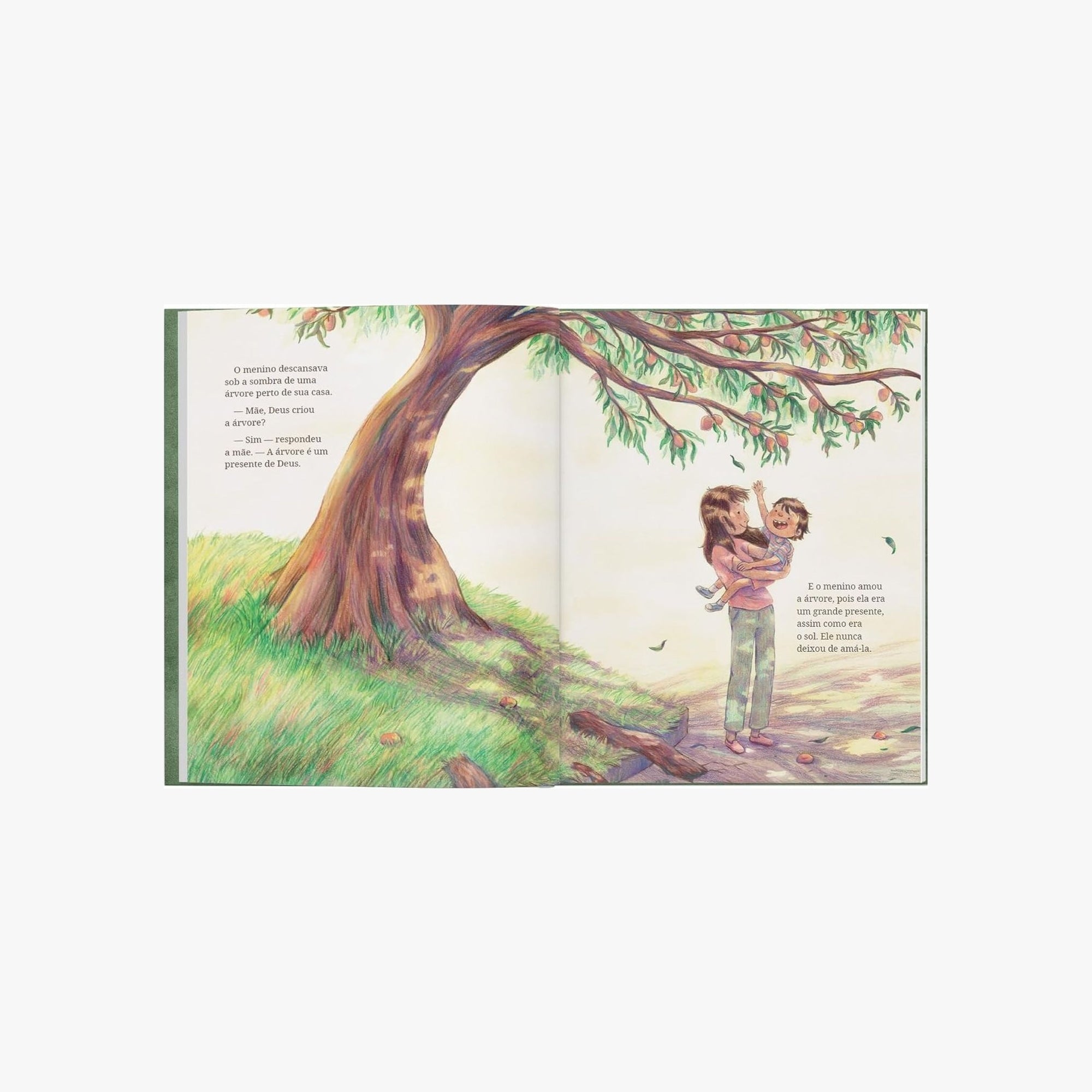 Livro Infantil Deus, o Menino e a Árvore