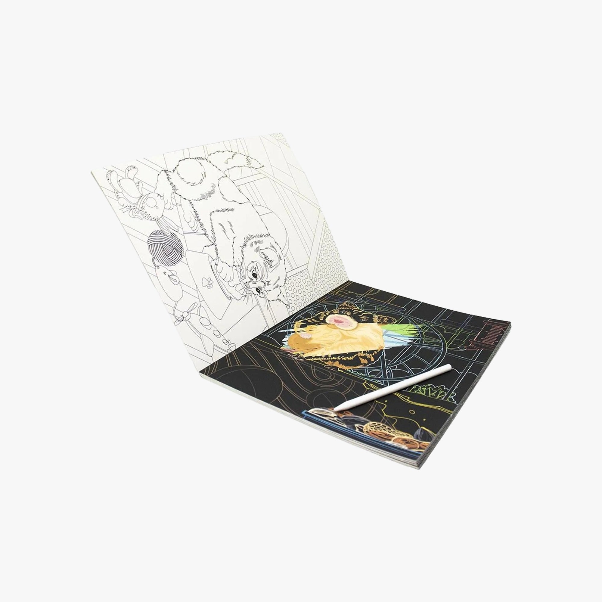 Livro Raspar e Colorir: Animais de Estimação
