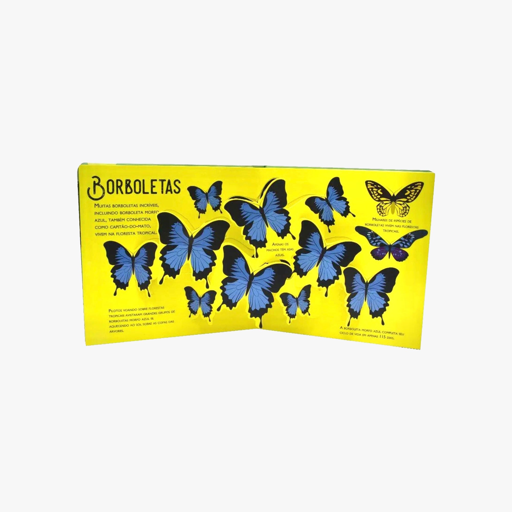 Livro Infantil Floresta Tropical Pop Ups