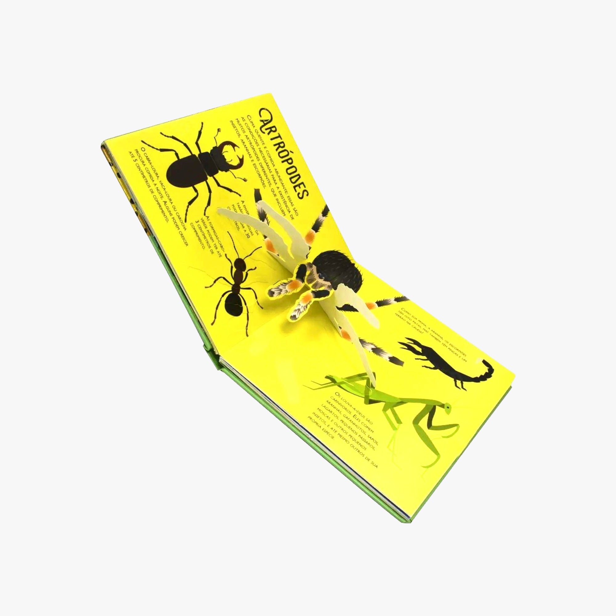 Livro Infantil Floresta Tropical Pop Ups