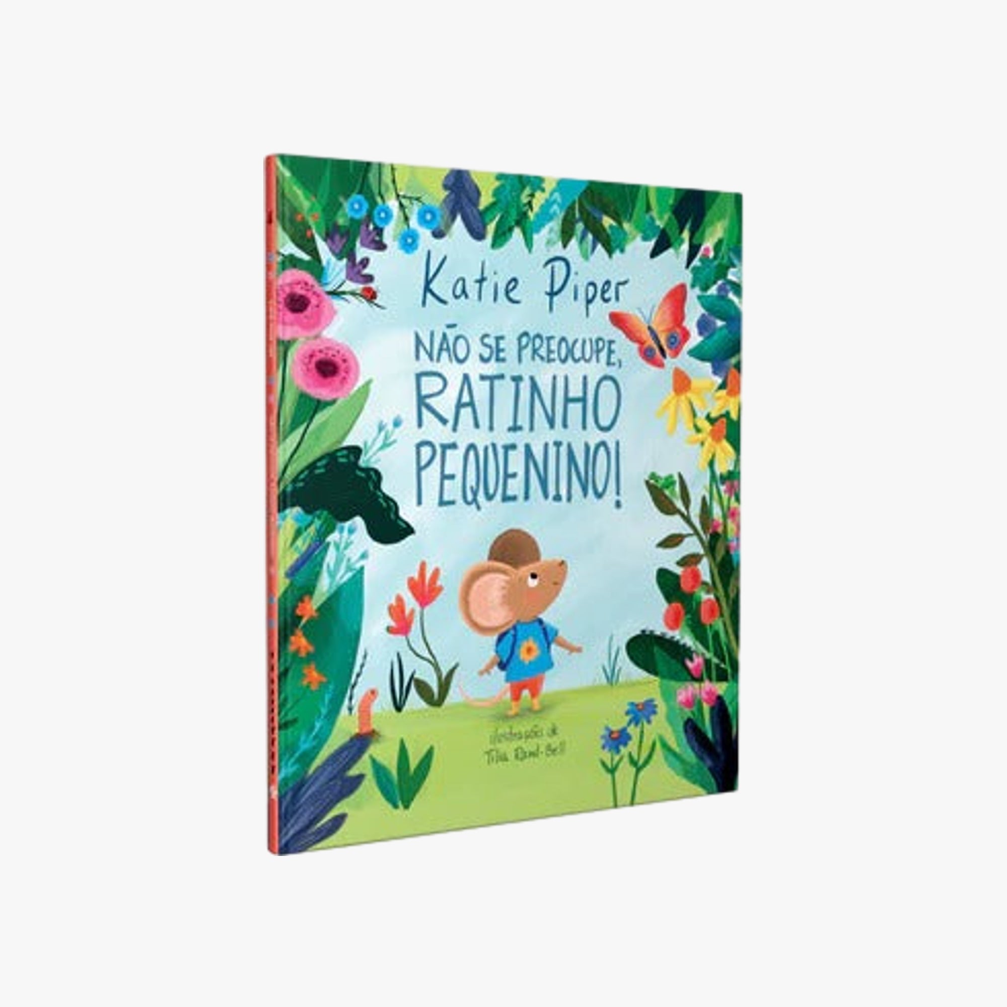 Livro Não se preocupe, ratinho pequenino!
