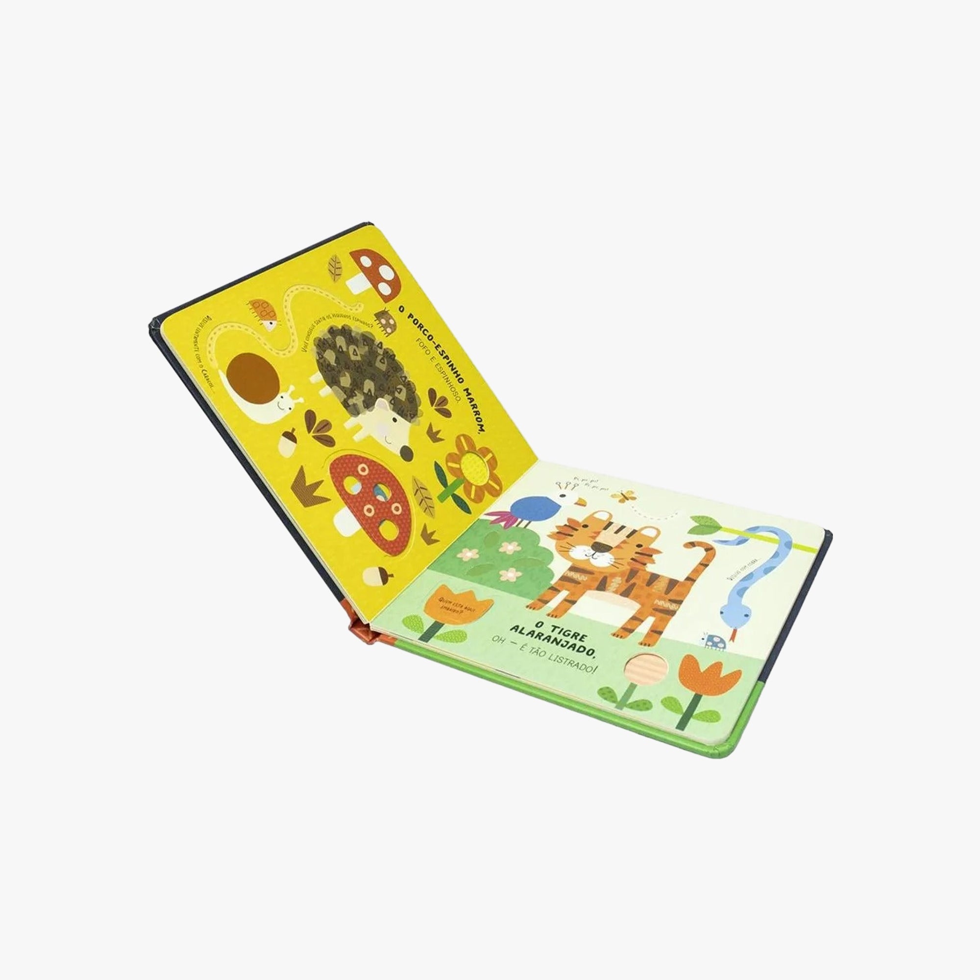 Livro Sensorial Primeiras Cores