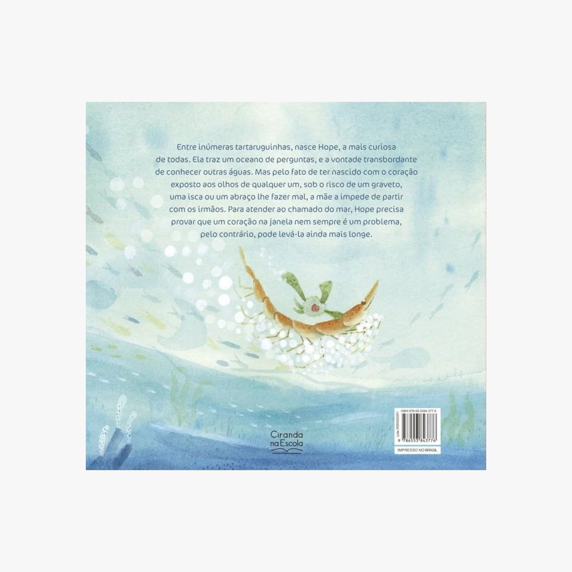 Livro Infantil Um Coração na Janela