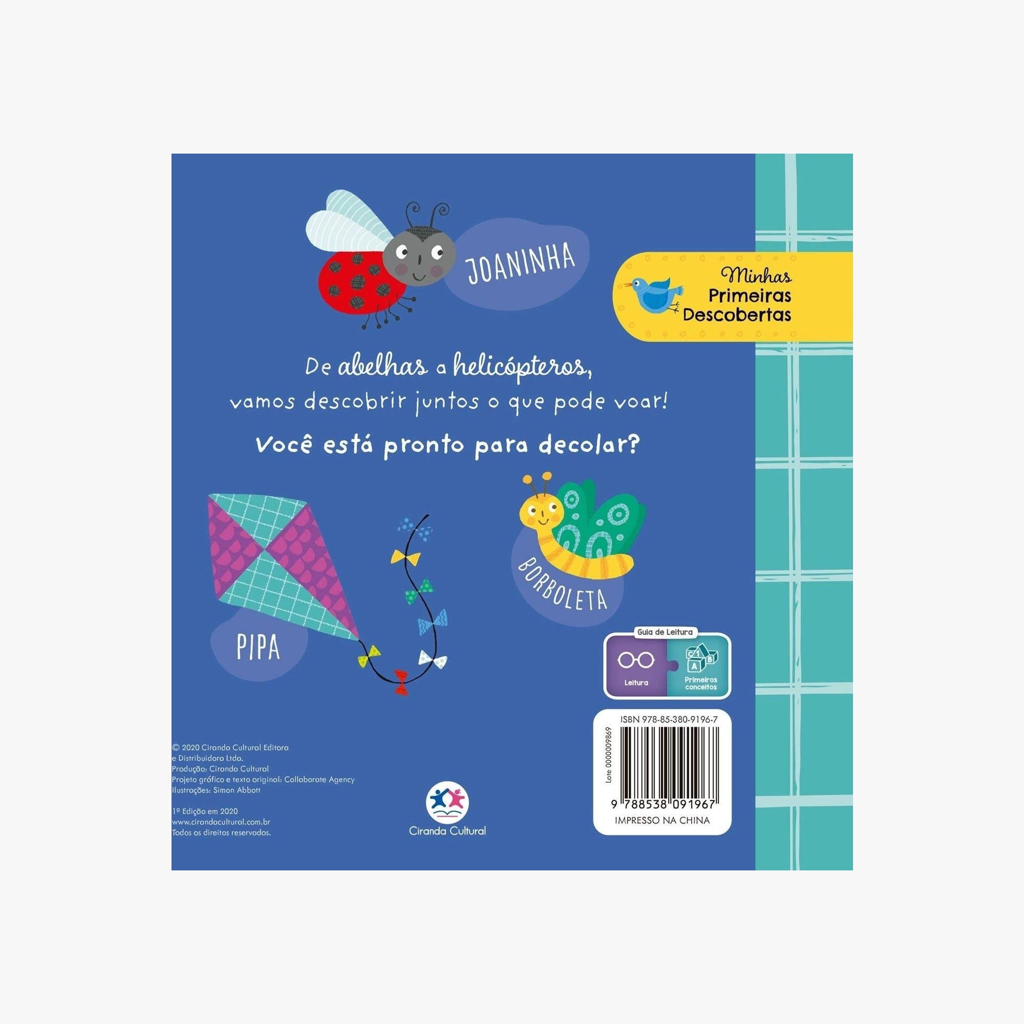 Livro Infantil O que pode voar?