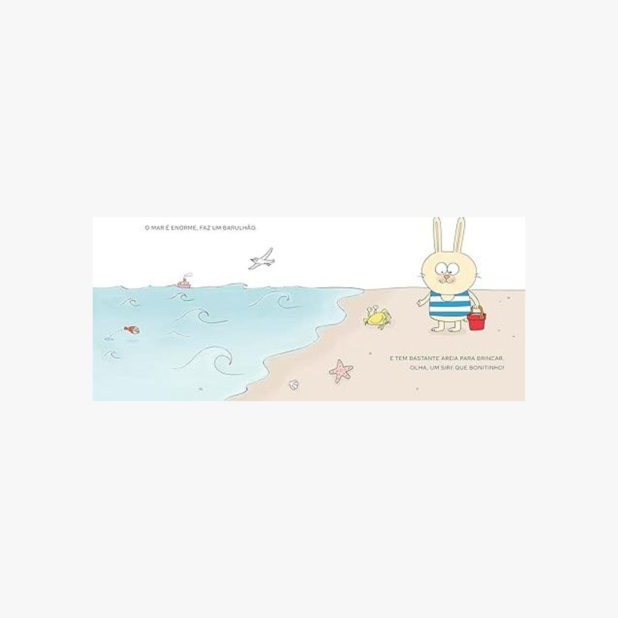 Livro Bibo na Praia