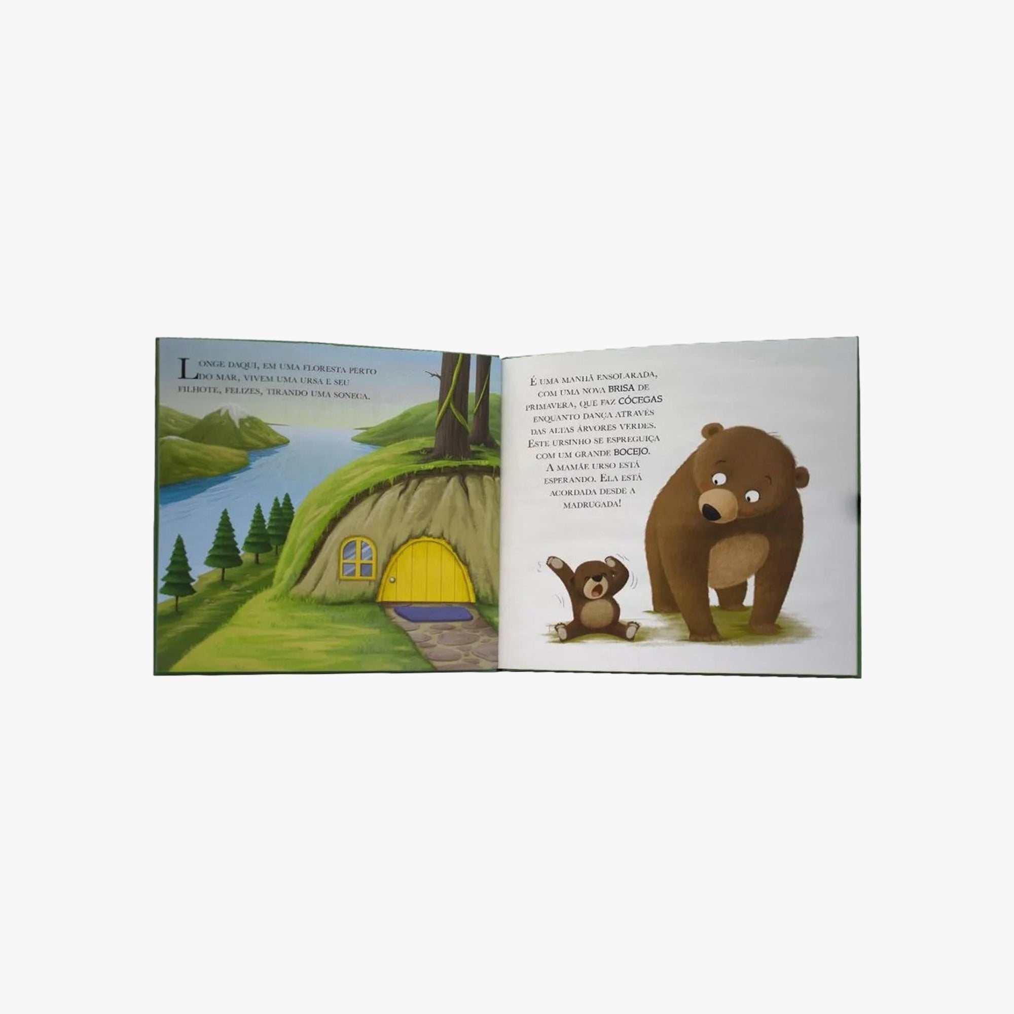 Livro Infantil Quando o Urso se sente Preocupado