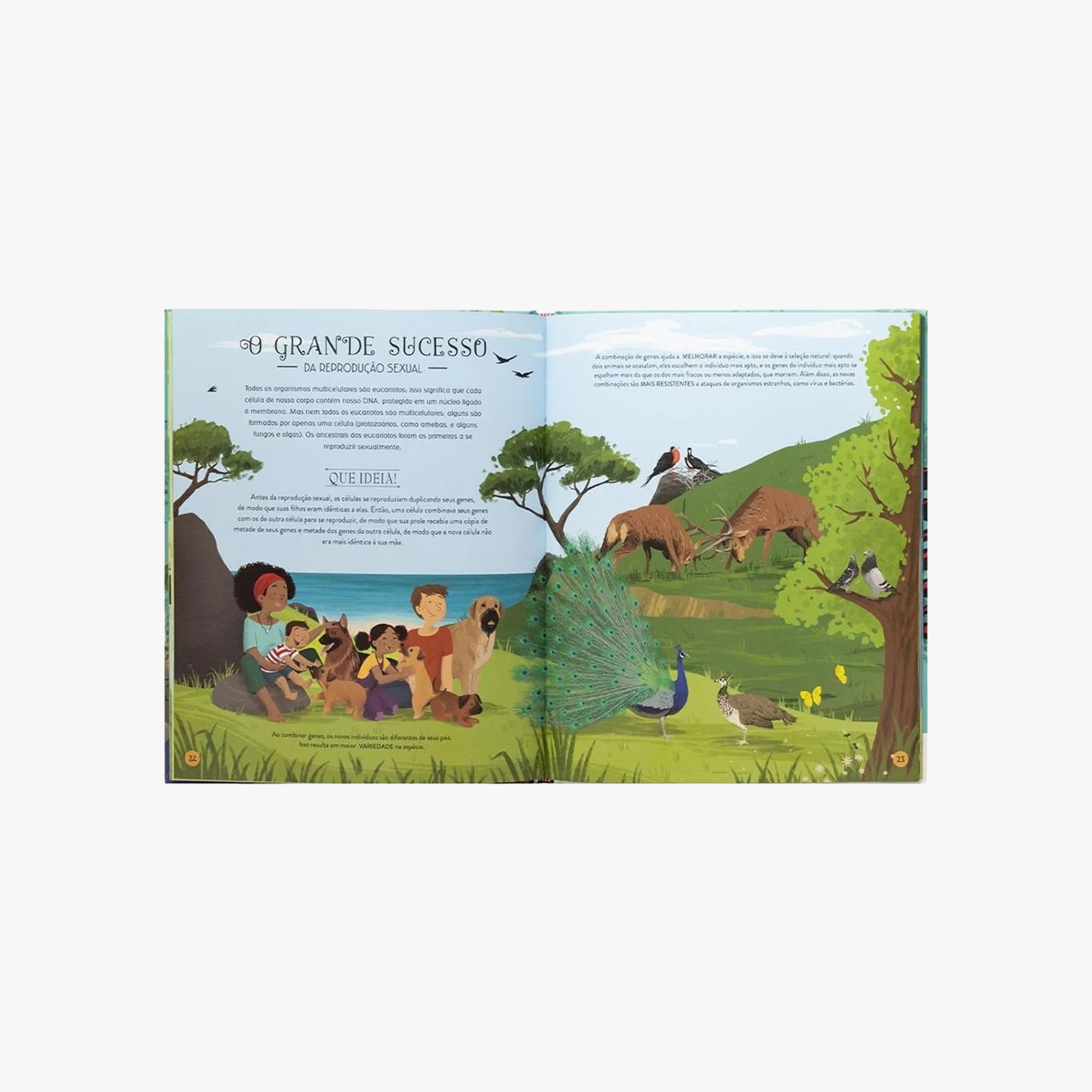 Livro A Evolução da Vida na Terra