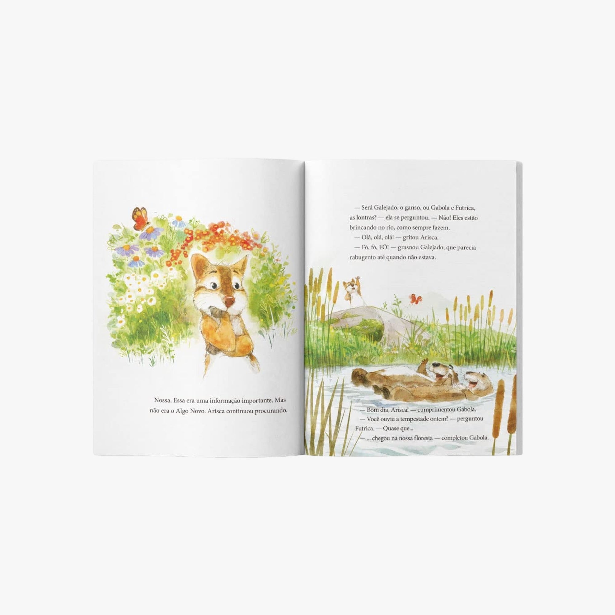 Livro Infantil Chegou Alguém Novo