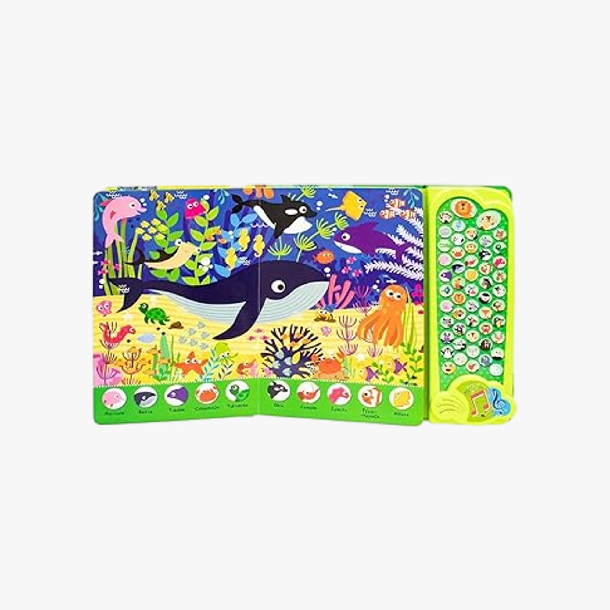 Procure e Encontre Livro Sonoro Animais