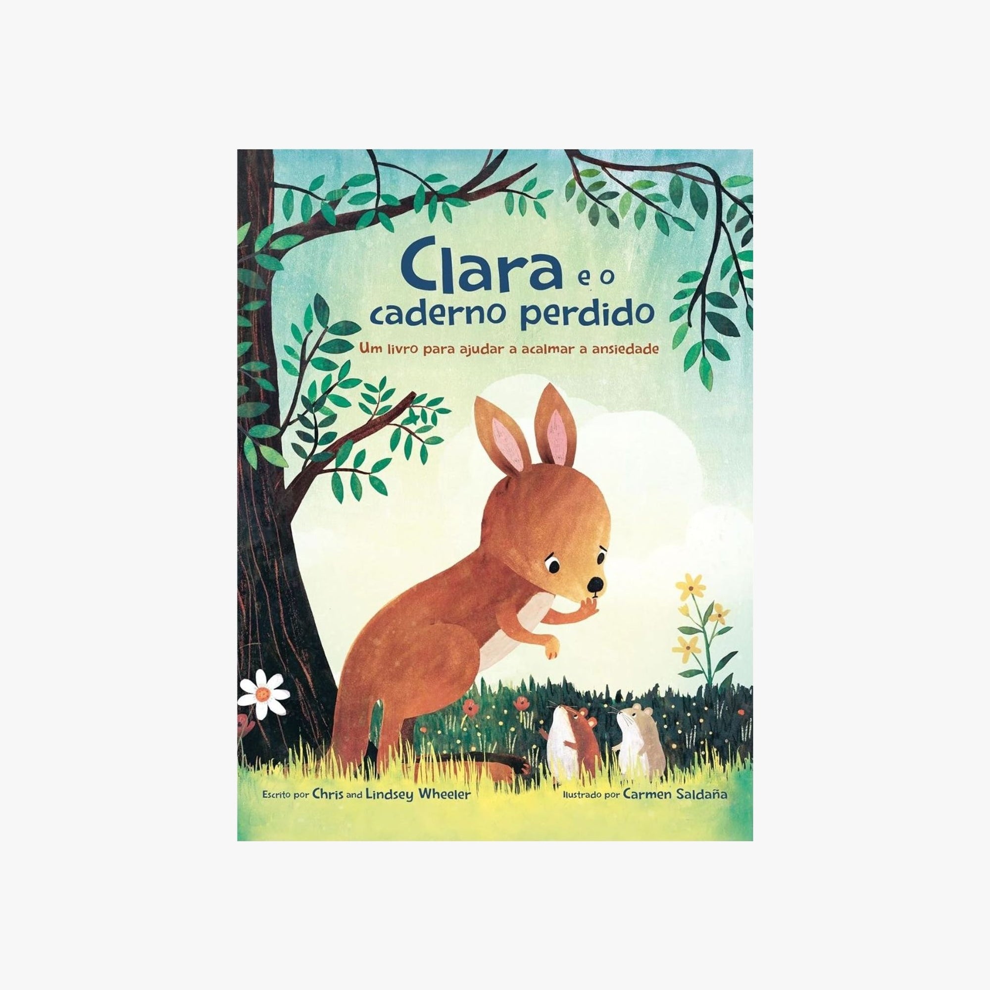 Livro Infantil Clara e o Caderno Perdido