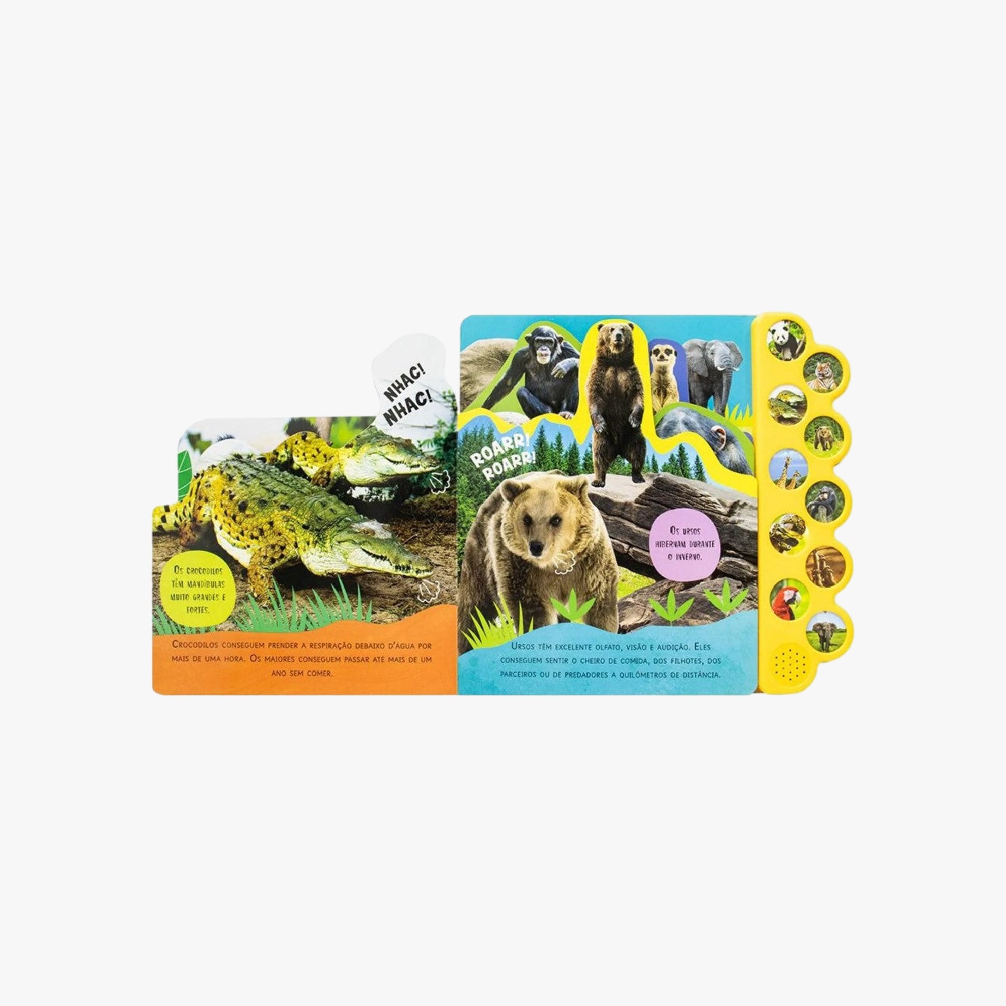 Livro Infantil Leia e Ouça Animais