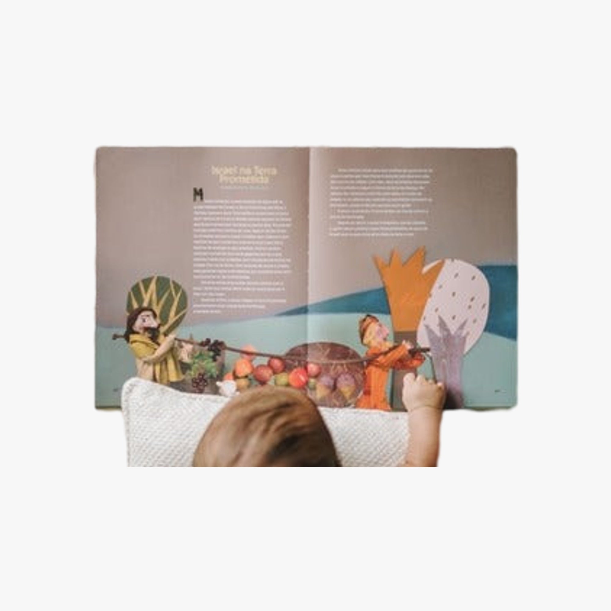 Livro A Incrível Bíblia