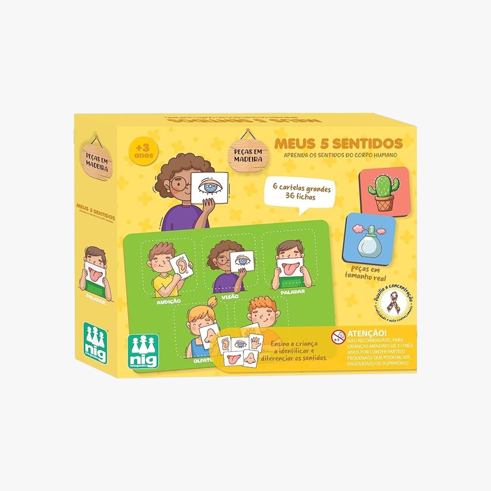Brinquedo Educativo Meus 5 Sentidos