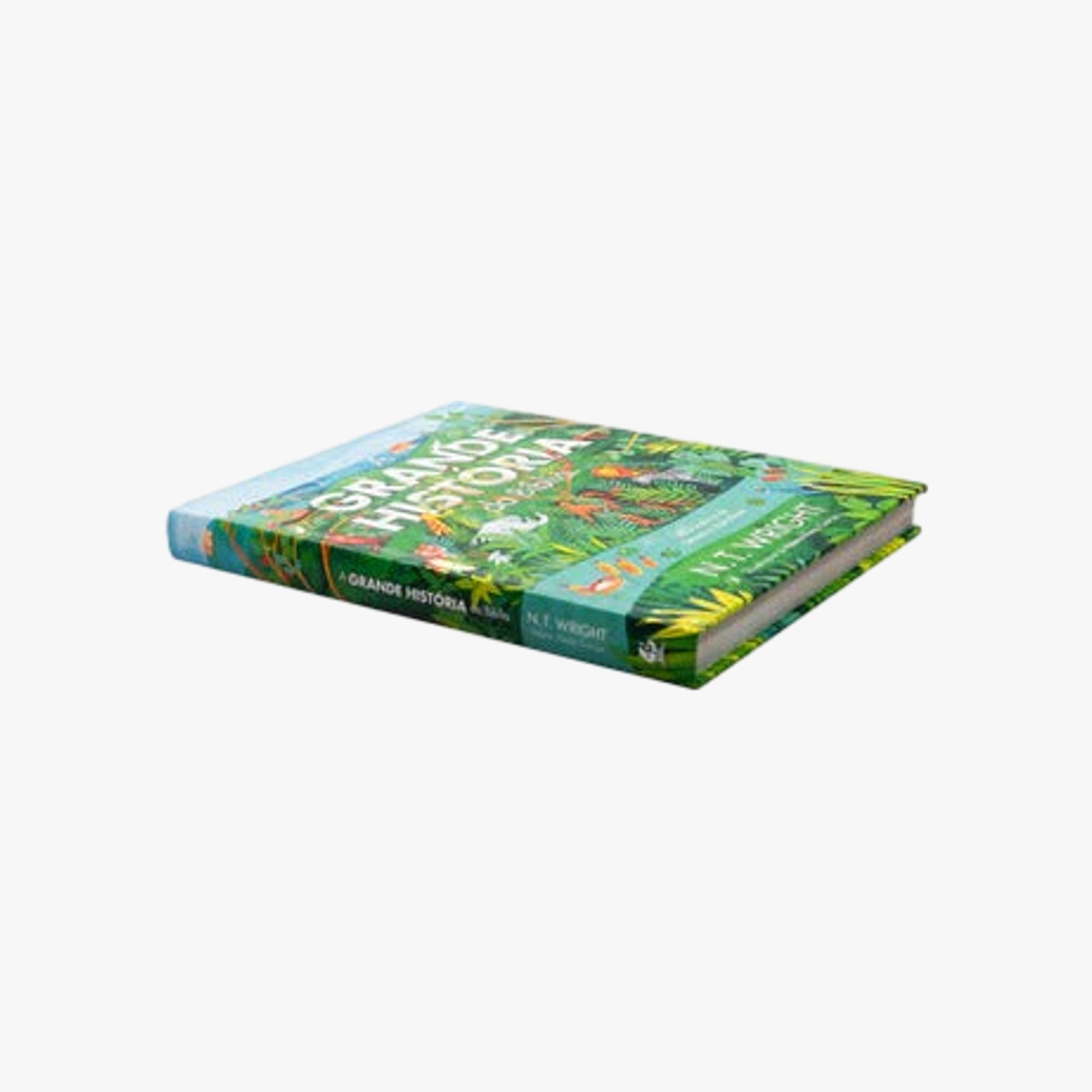 Livro A grande história da Bíblia