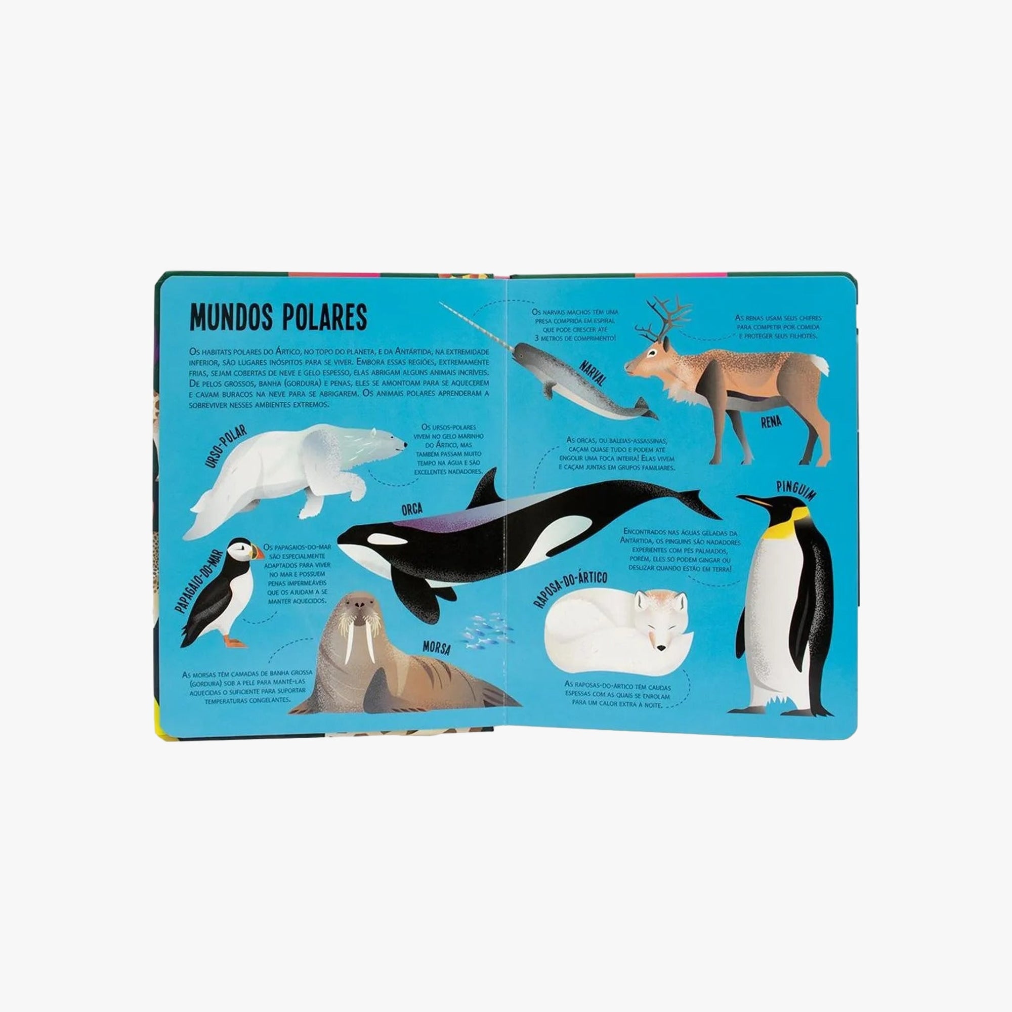 Livro com Lanterna Procure e Encontre Animais