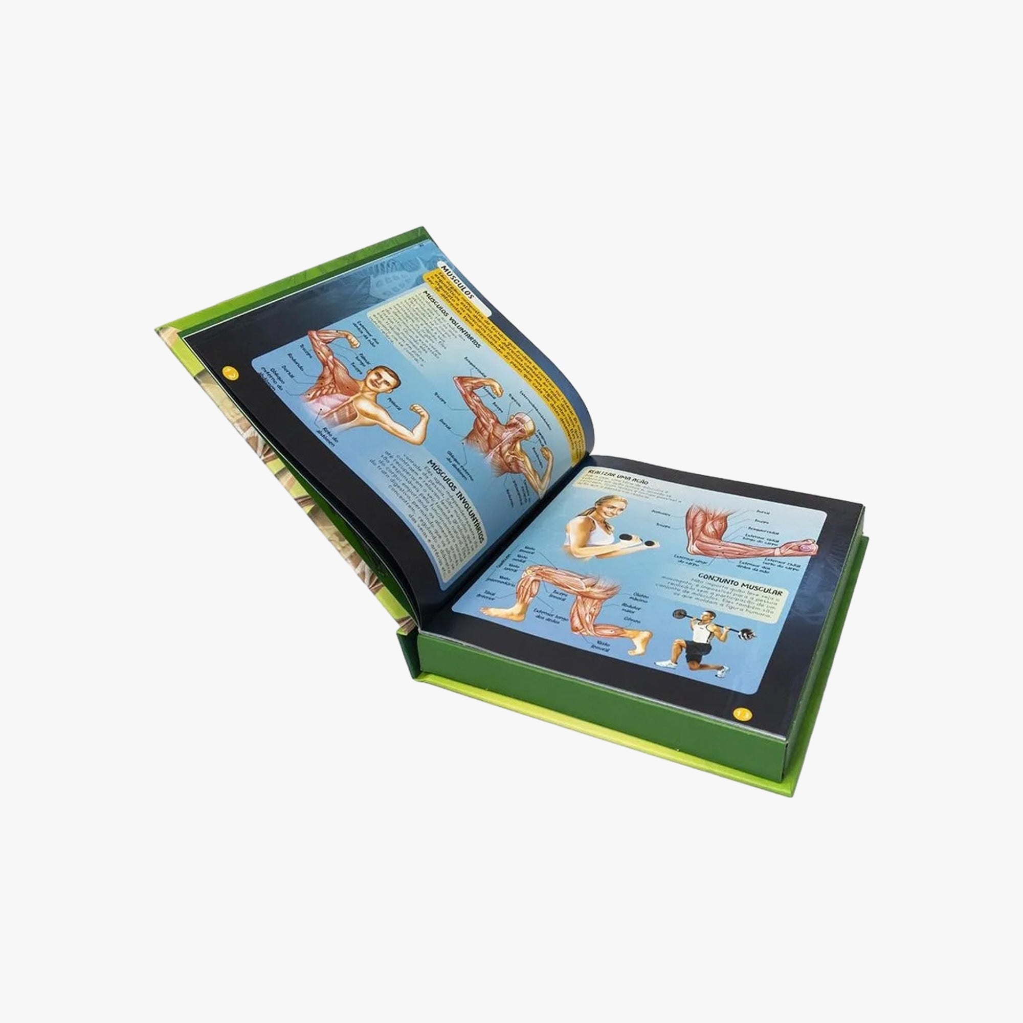 Livro de Maquete 3D - Corpo Humano