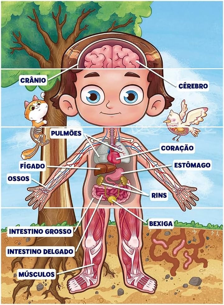 Quebra-Cabeça Infantil Corpo Humano 100 Peças