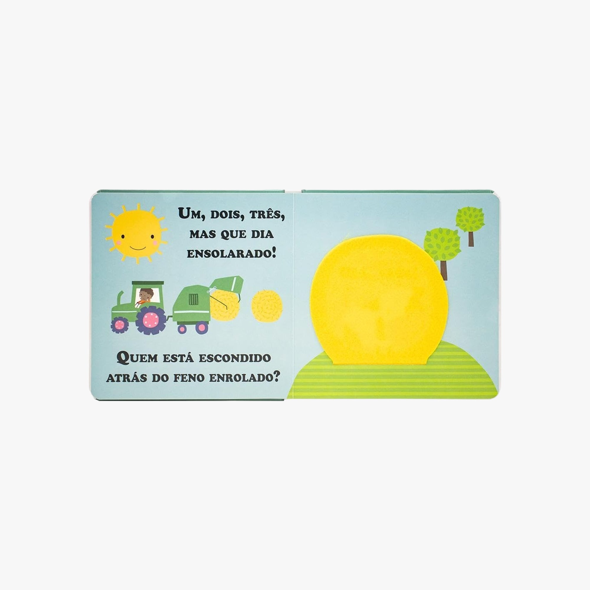 Livro Infantil Esconde-Esconde Fazenda
