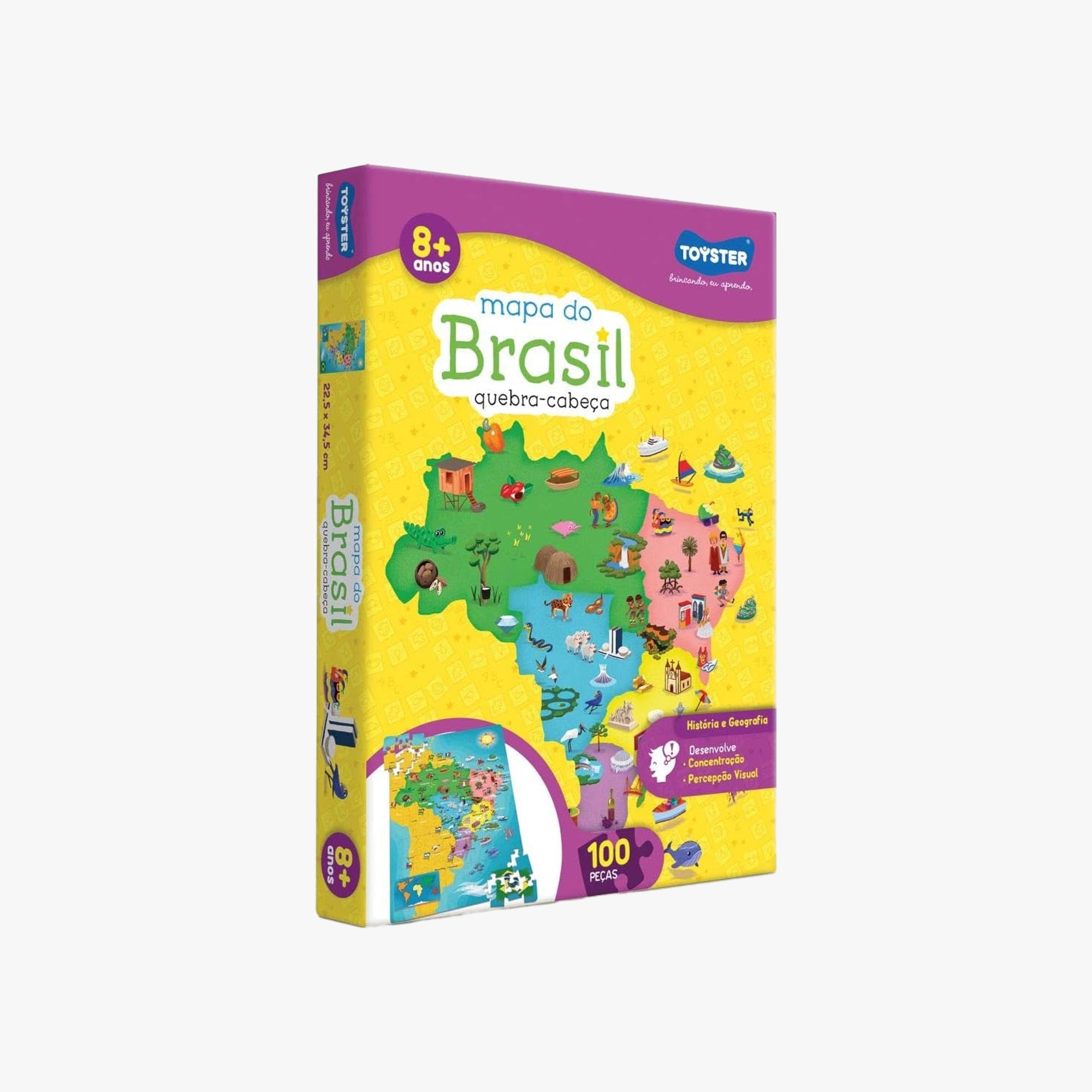 Quebra-Cabeça Mapa do Brasil 100 Peças Toyster