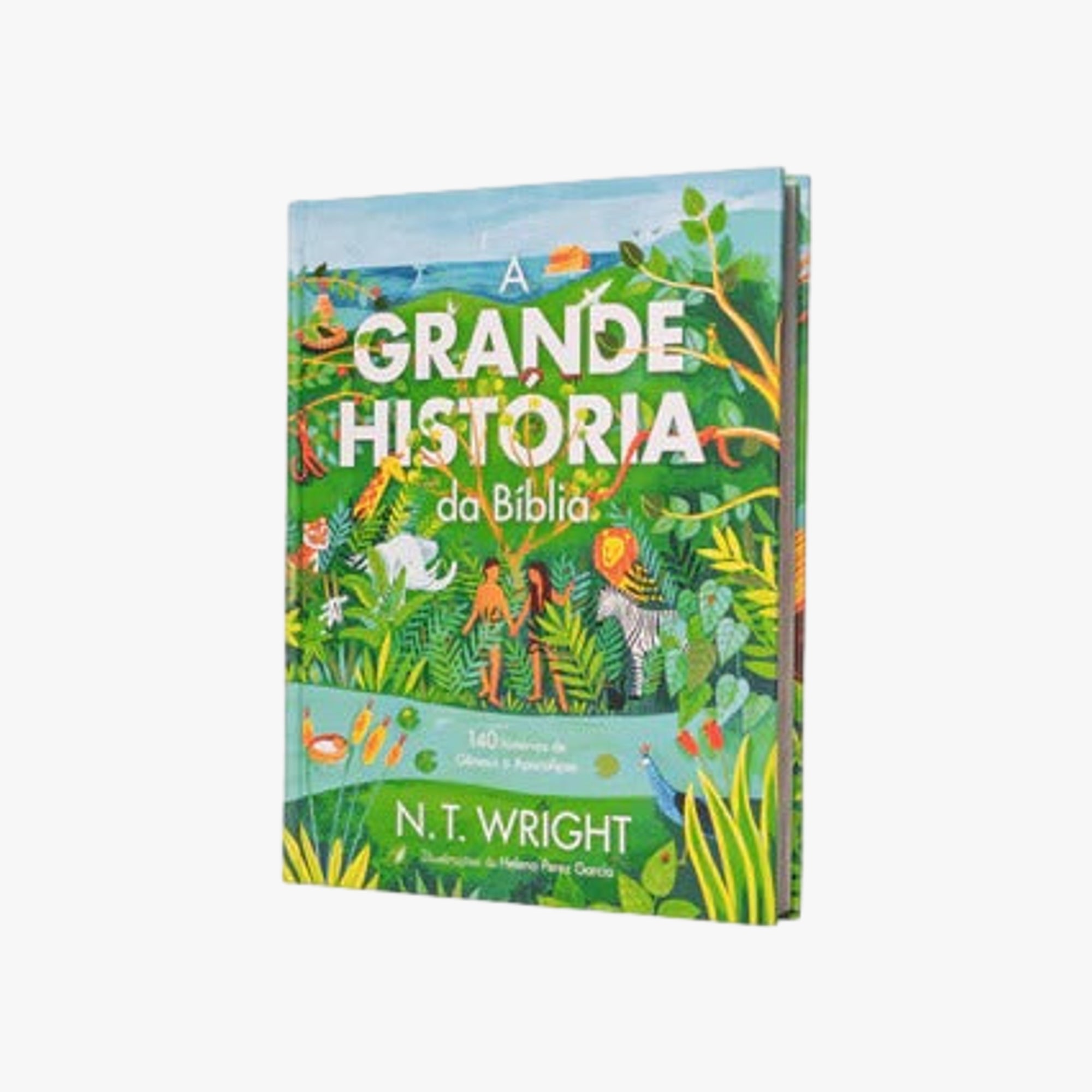 Livro A grande história da Bíblia