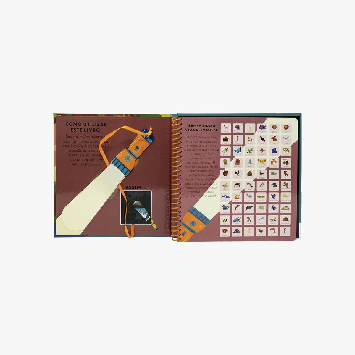 Livro com lanterna desvende a vida selvagem