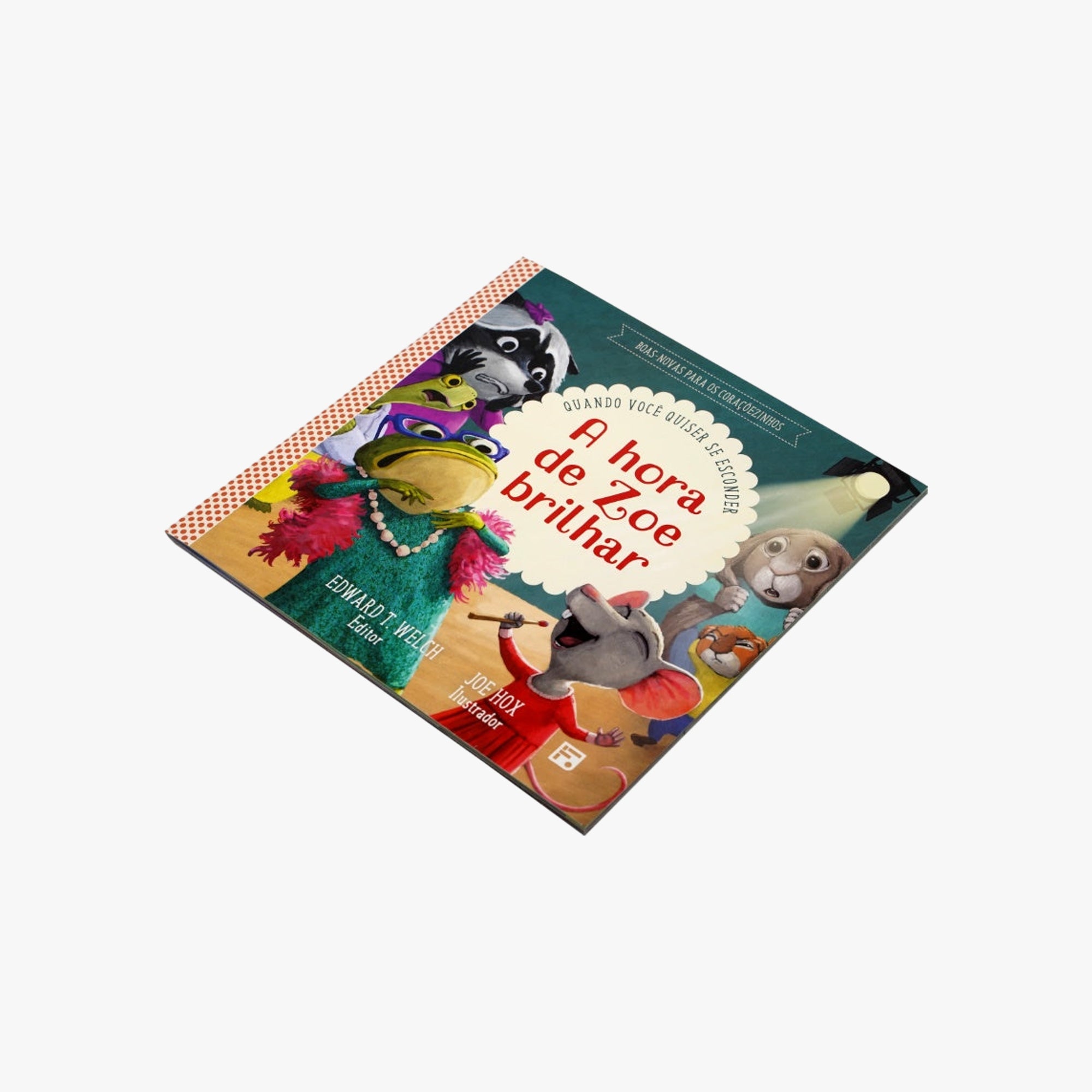 Livro A hora de Zoe brilhar: quando você quiser se esconder