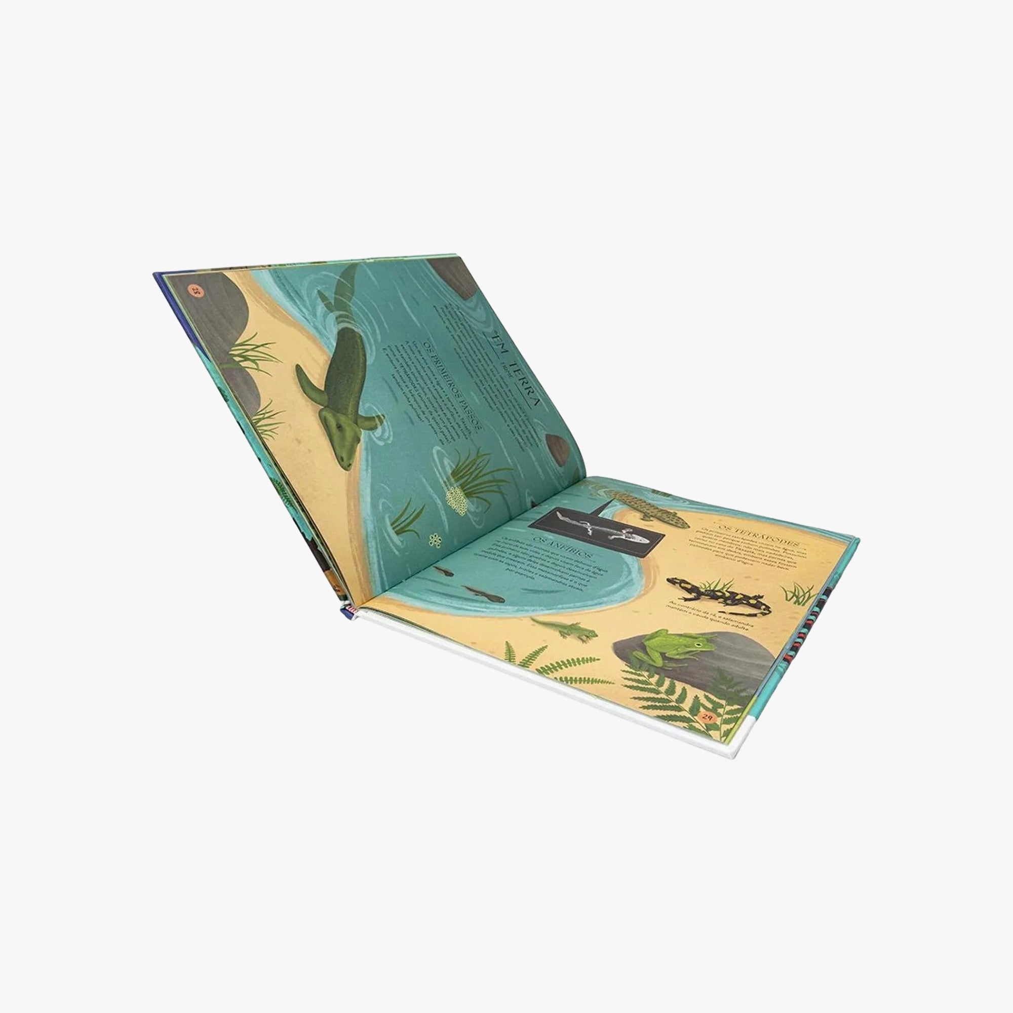 Livro A Evolução da Vida na Terra