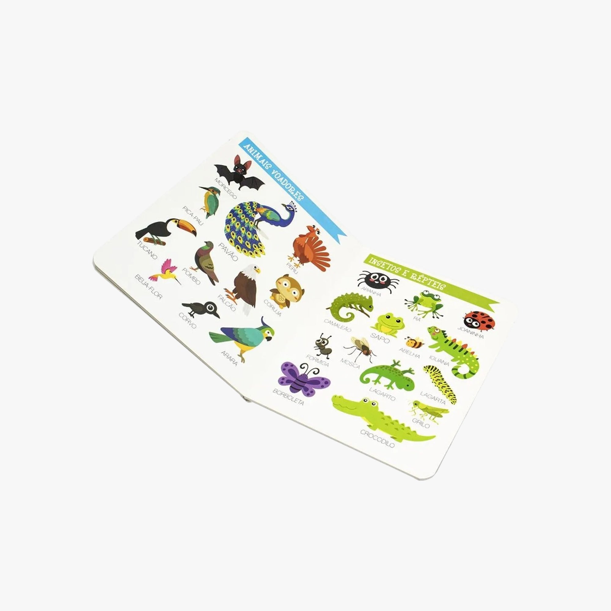Livro Explorando o Mundo: Animais