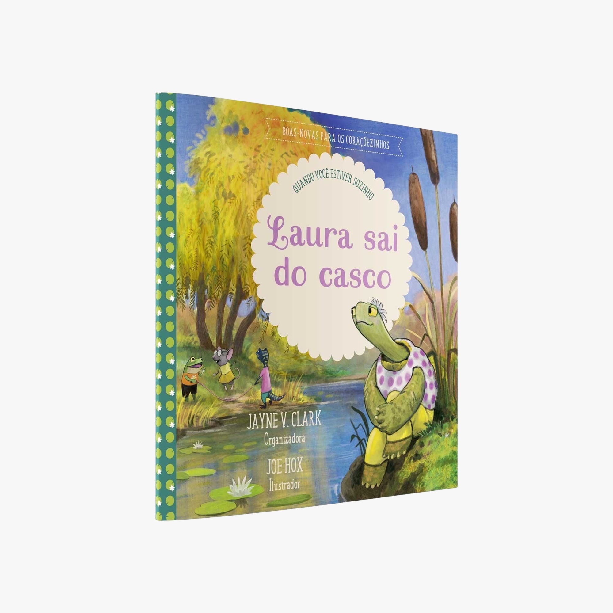 Livro Laura sai do casco: quando você estiver sozinho