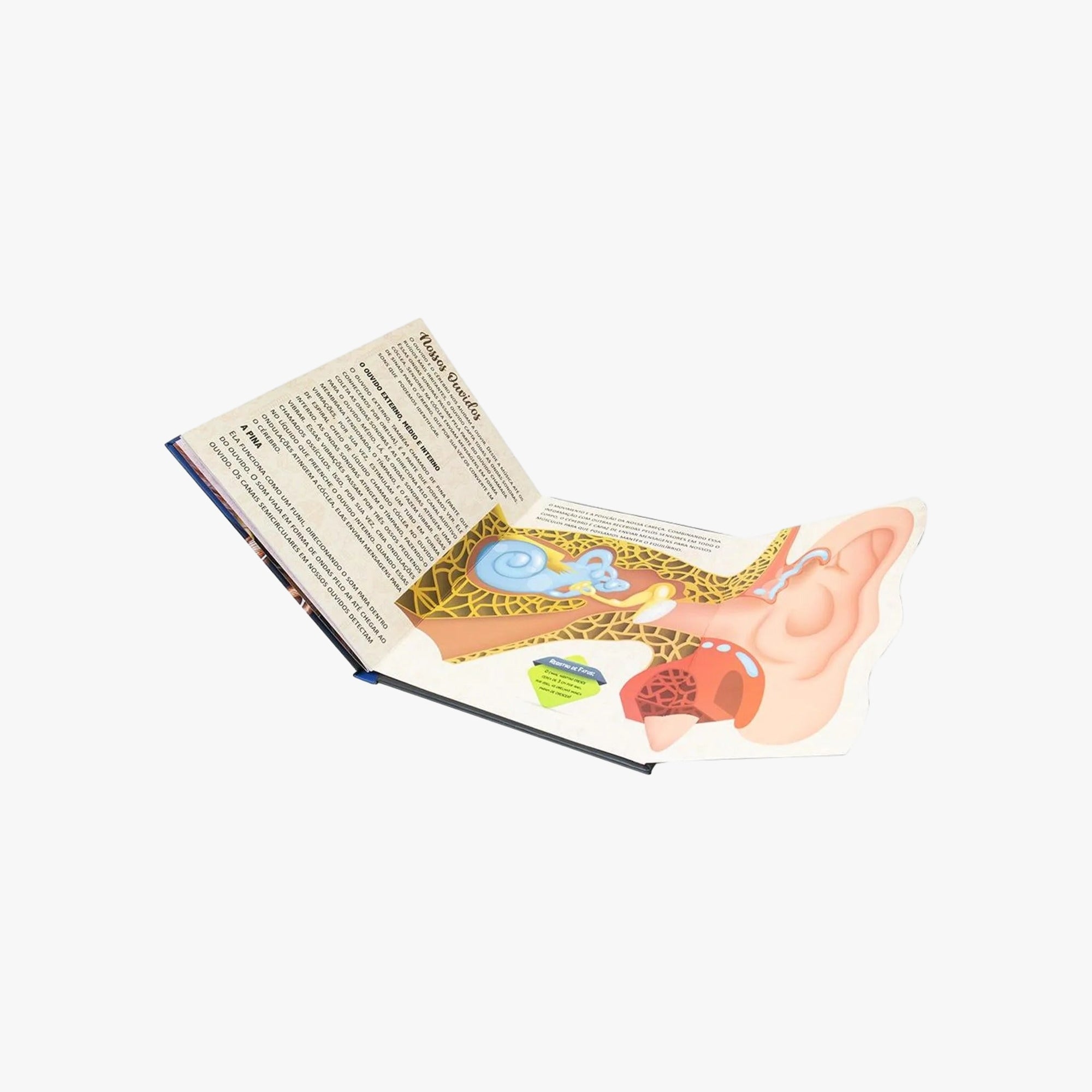 Livro POP-UPS: Descubra o Corpo Humano