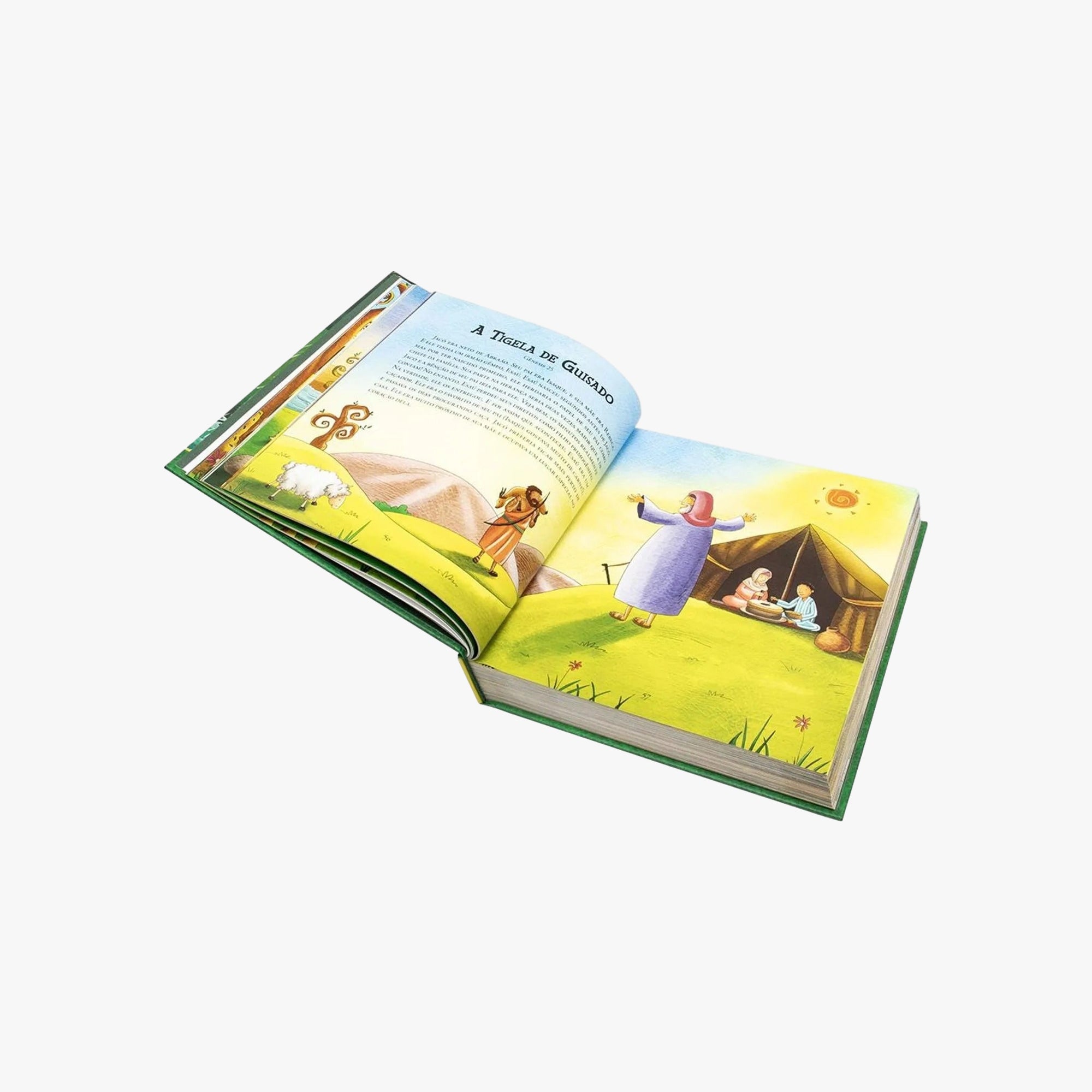 Livro Bíblia Ilustrada da Criança
