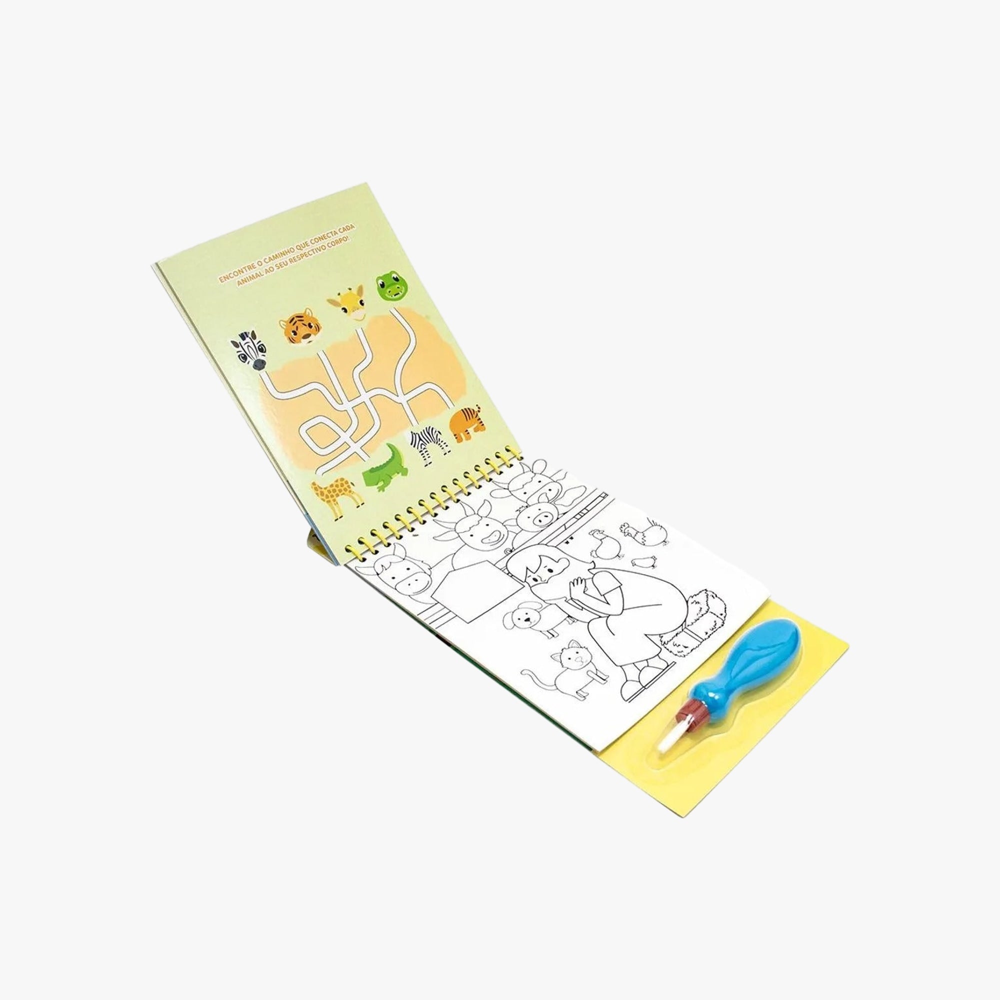 Livro Infantil Aquabook Com Atividade Arca de Nóe