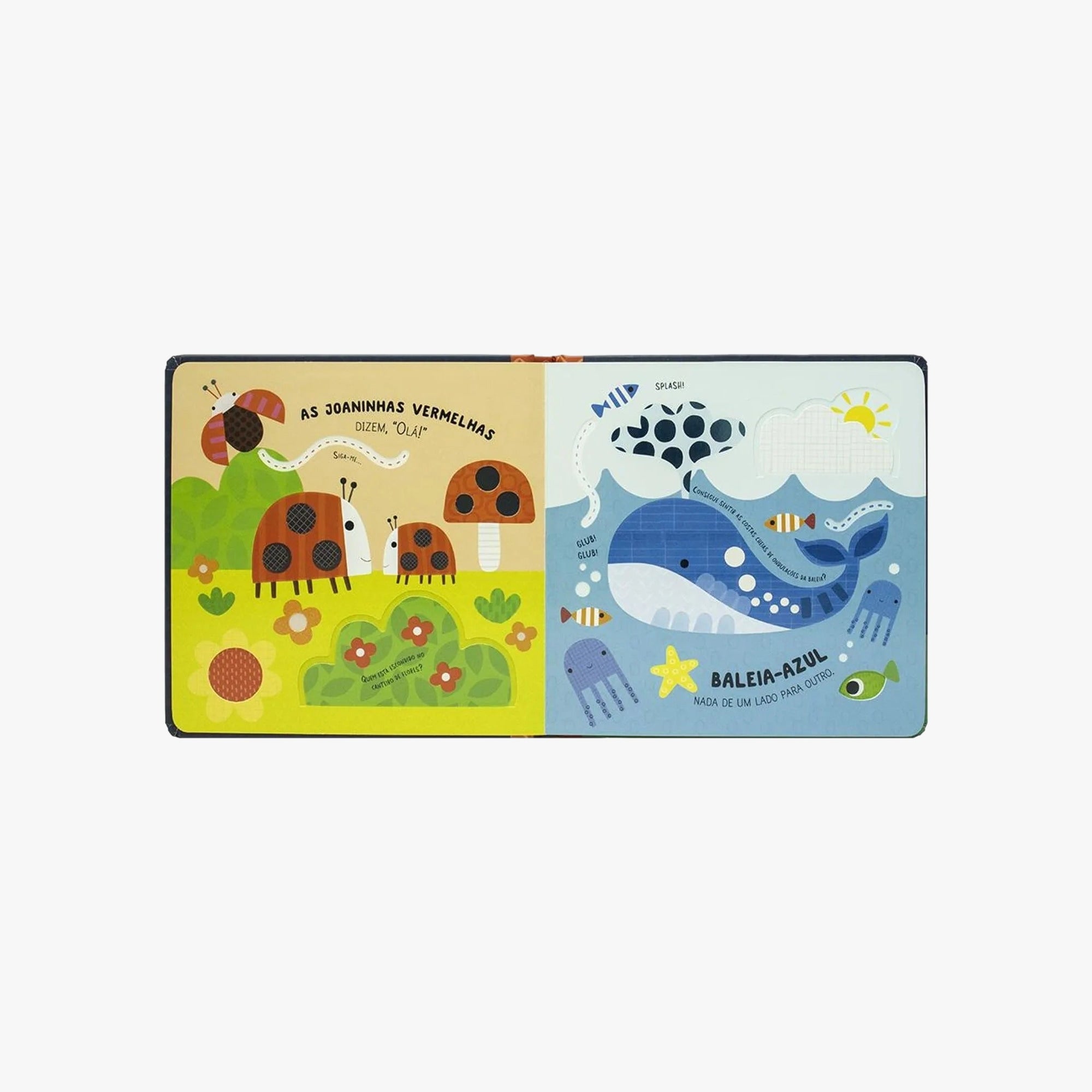 Livro Sensorial Primeiras Cores