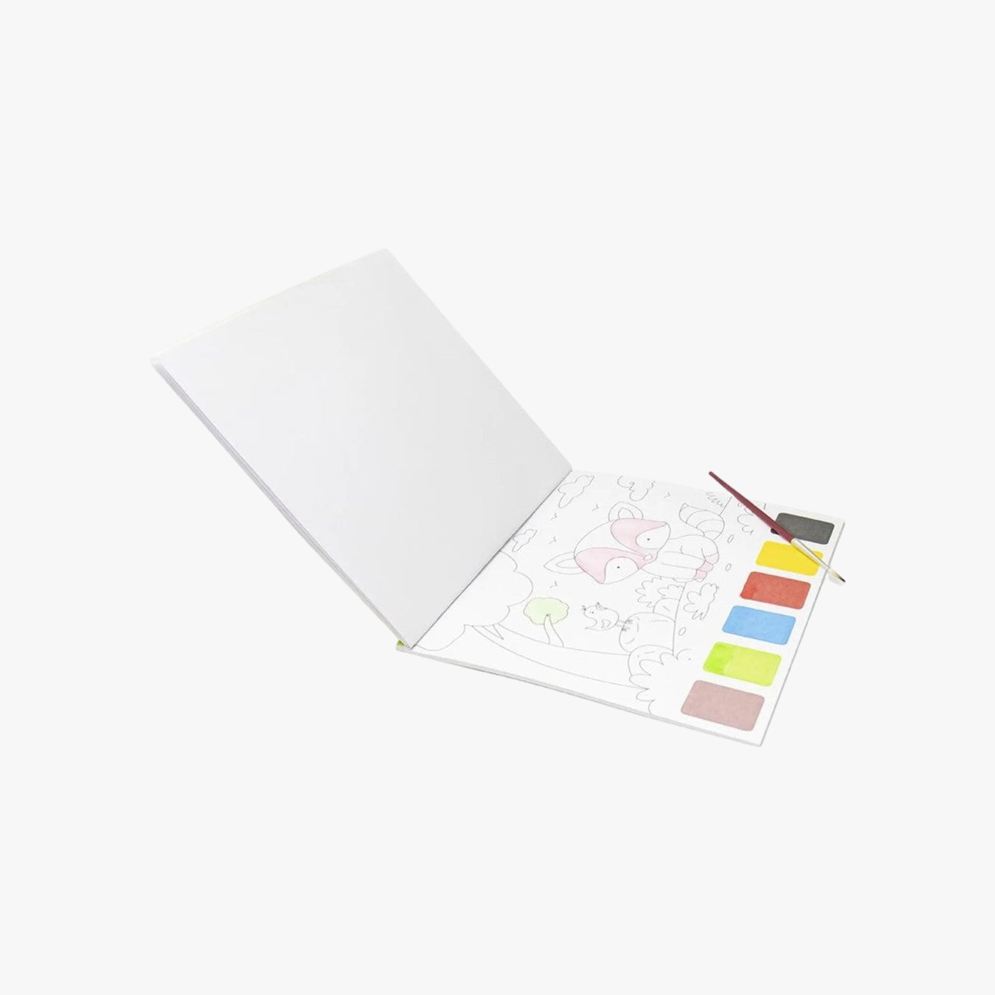 Livro Pintando com Água Selva