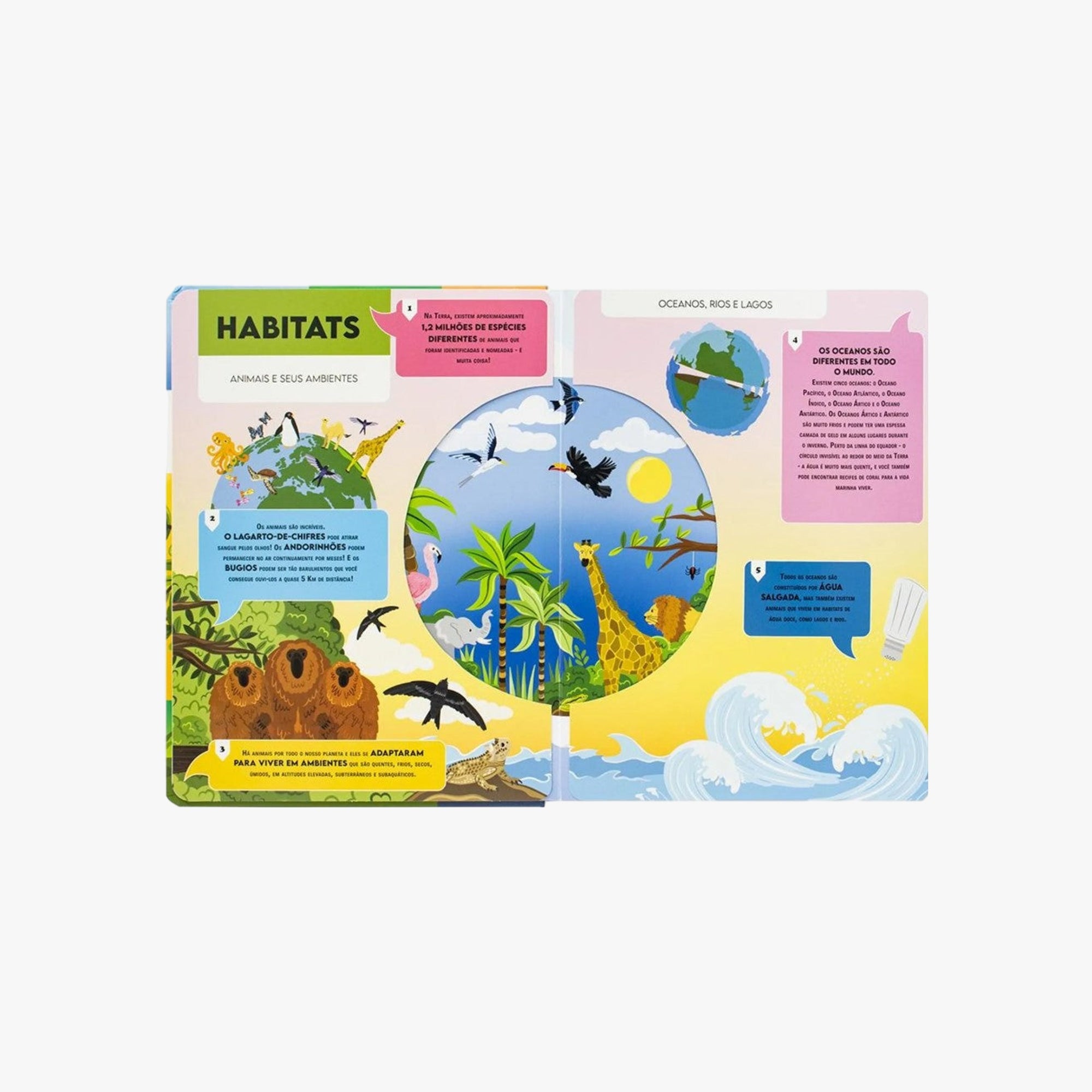 Livro Vamos Falar Sobre Reino Animal