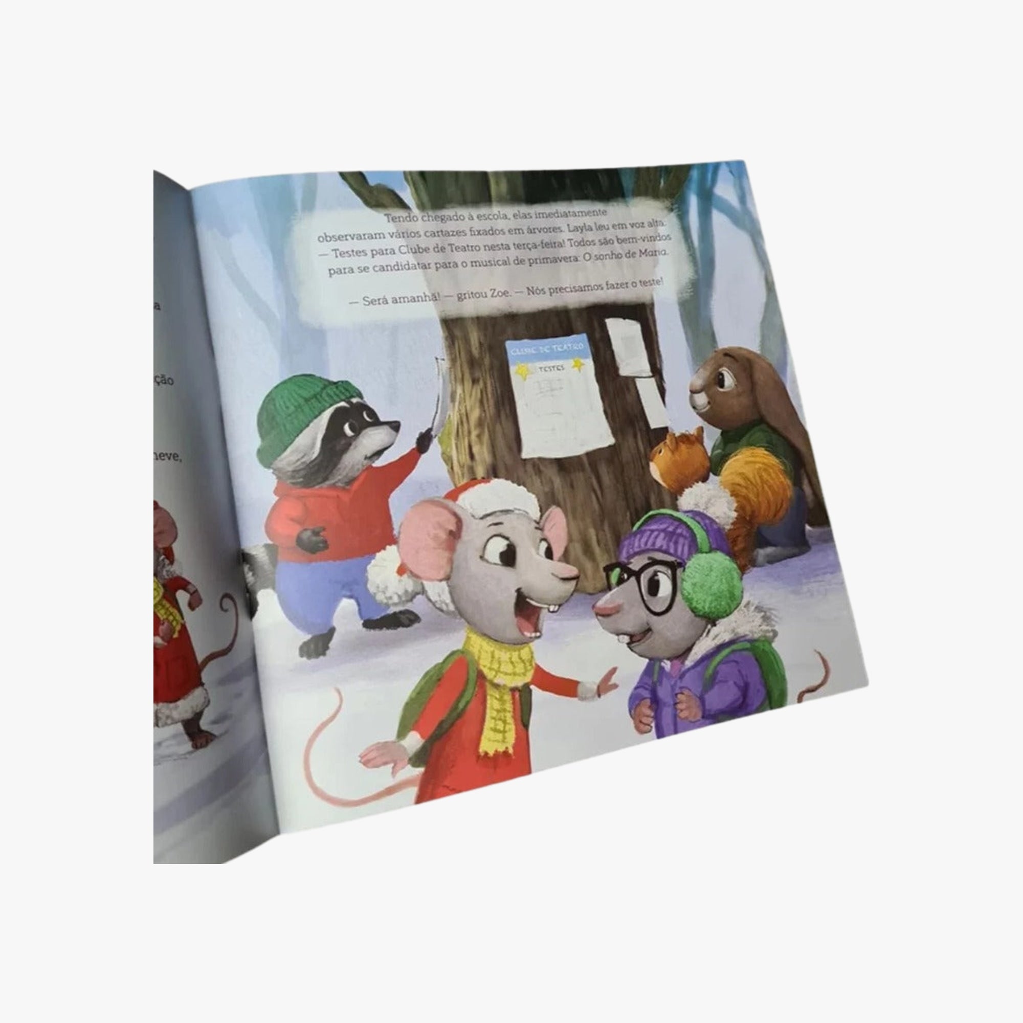 Livro A hora de Zoe brilhar: quando você quiser se esconder