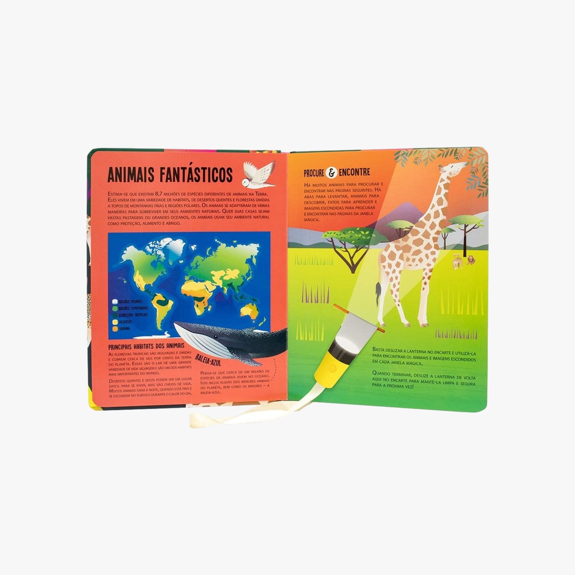 Livro com Lanterna Procure e Encontre Animais
