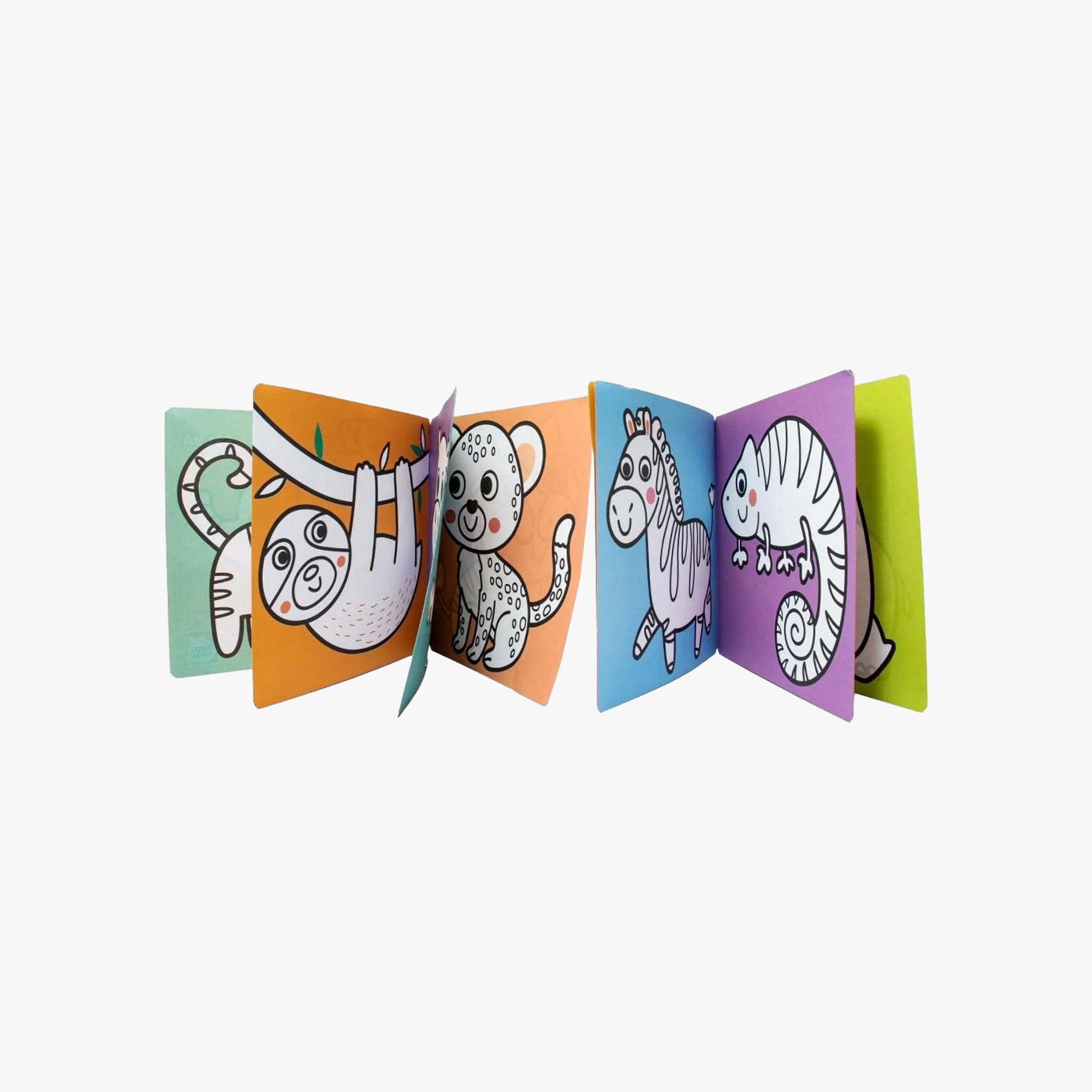 Livro-Sanfona Para Colorir Selva