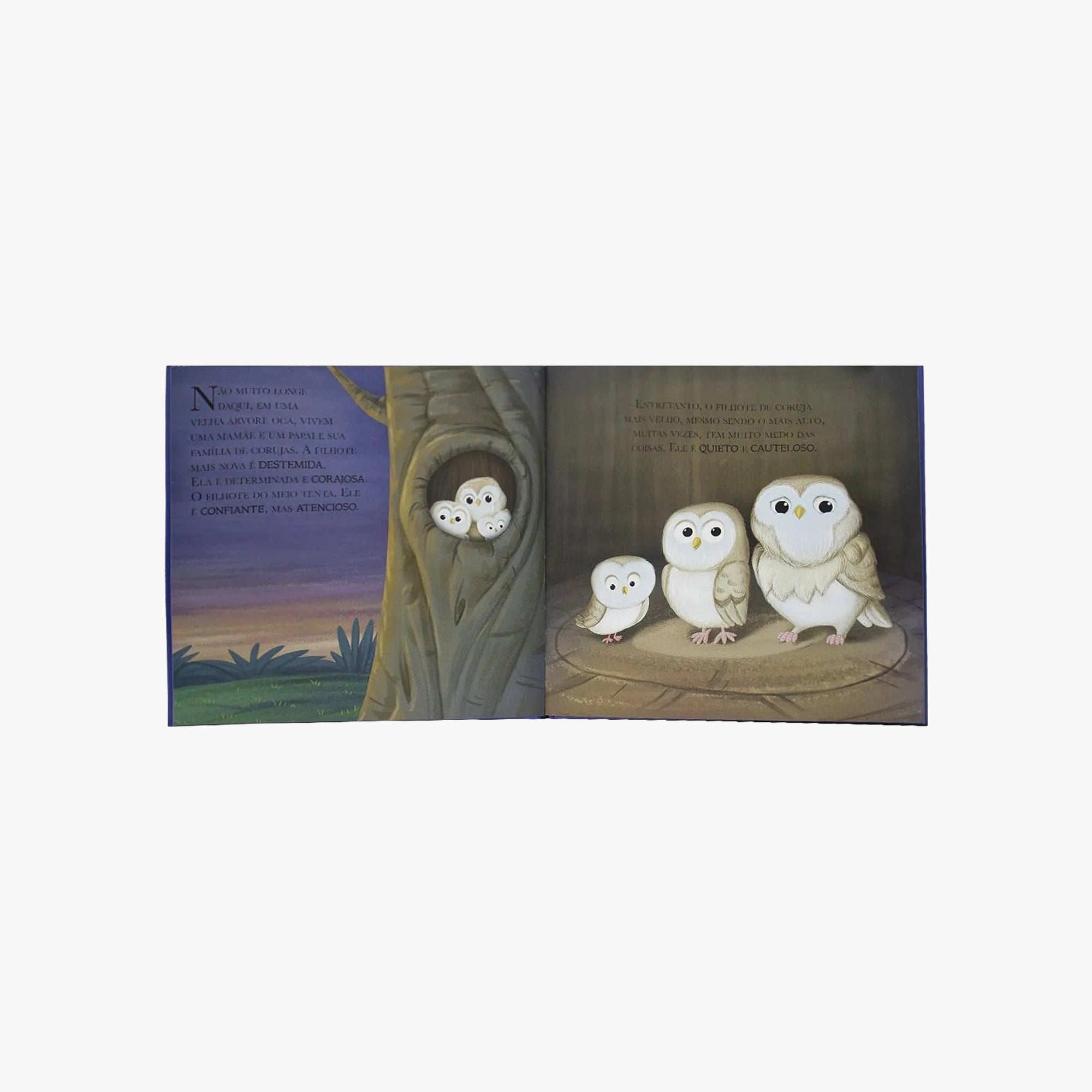 Livro Infantil Quando a Coruja Sente Medo